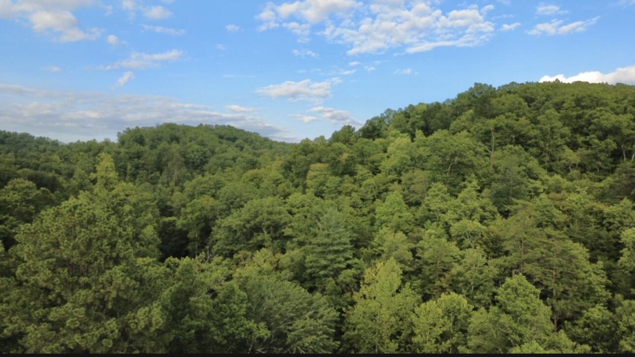 0 Spaws Creek Road Property Photo 3