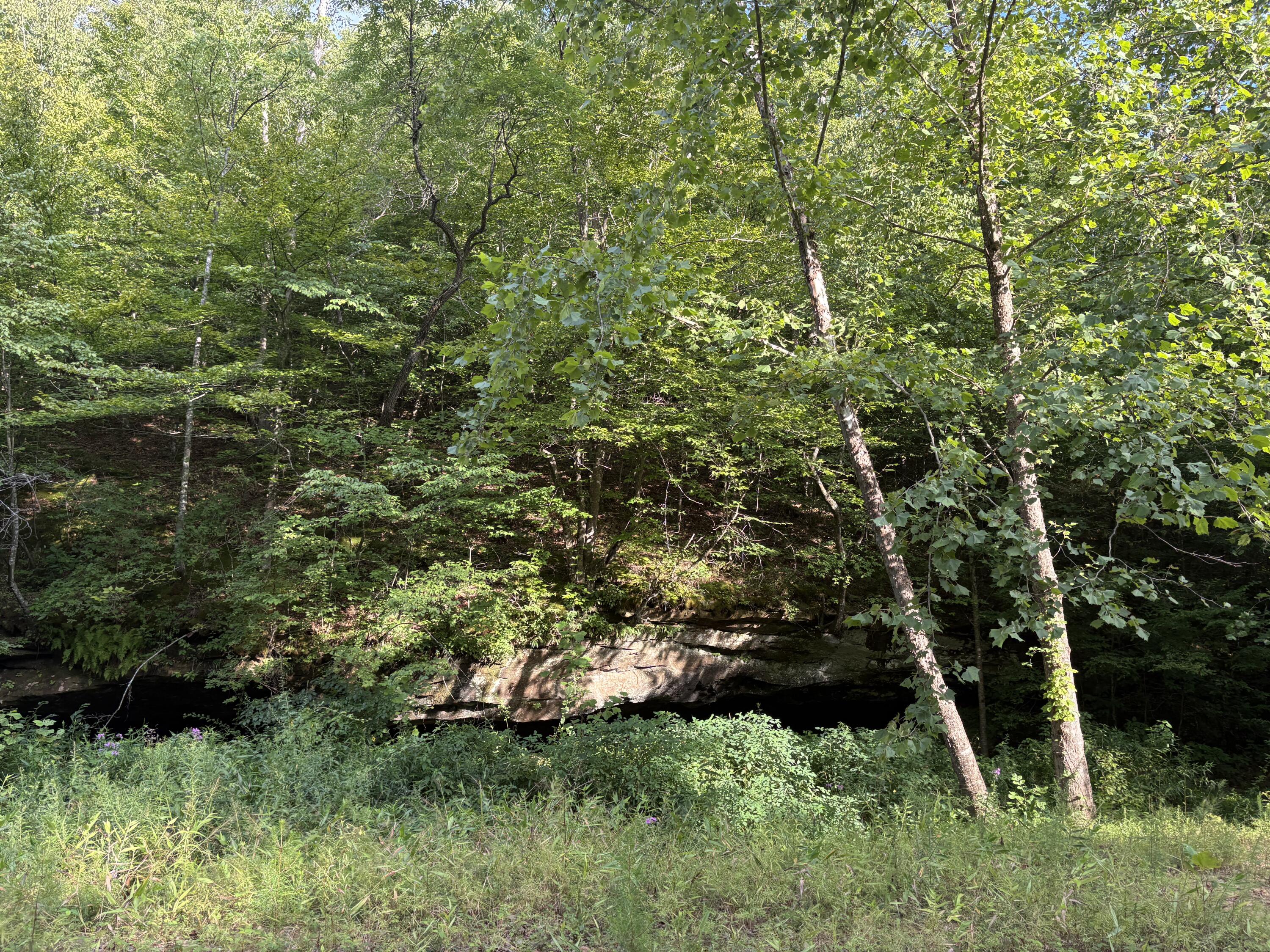 0 Spaws Creek Road Property Photo 5