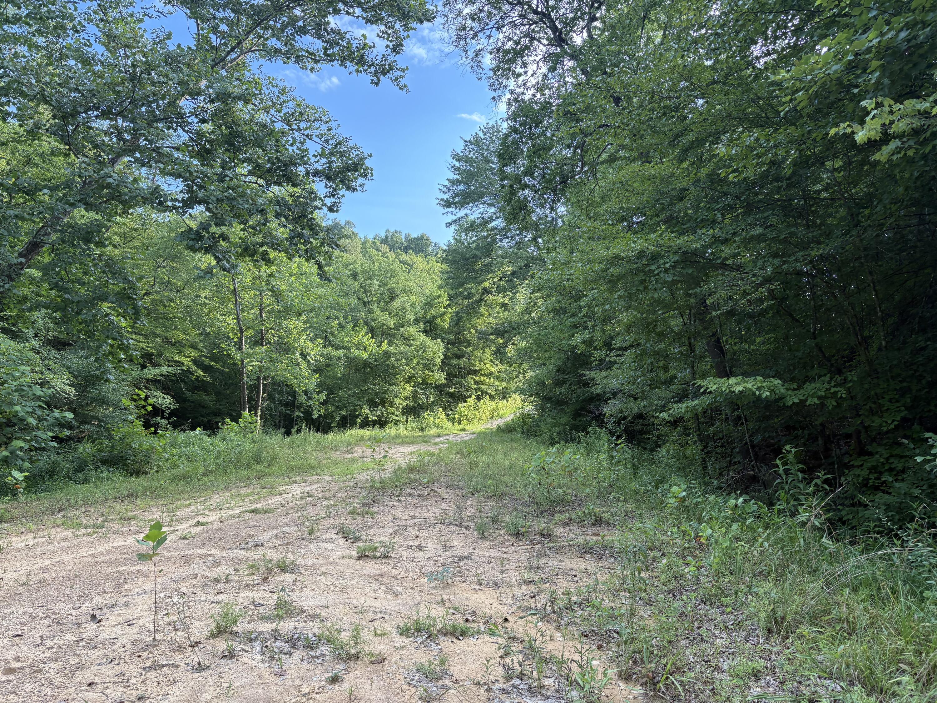 0 Spaws Creek Road Property Photo 6