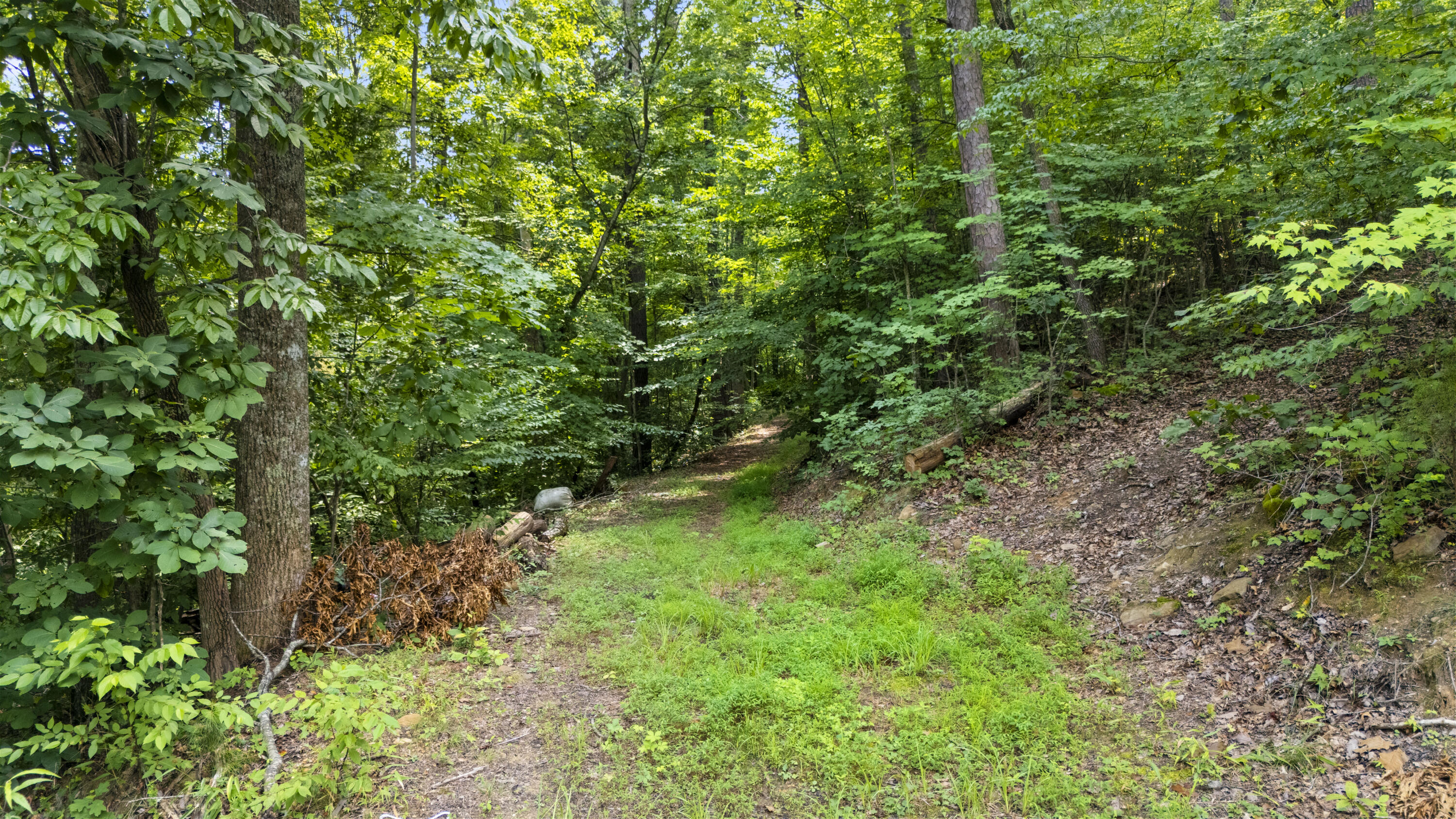 1435 Pilot Road Property Photo 7
