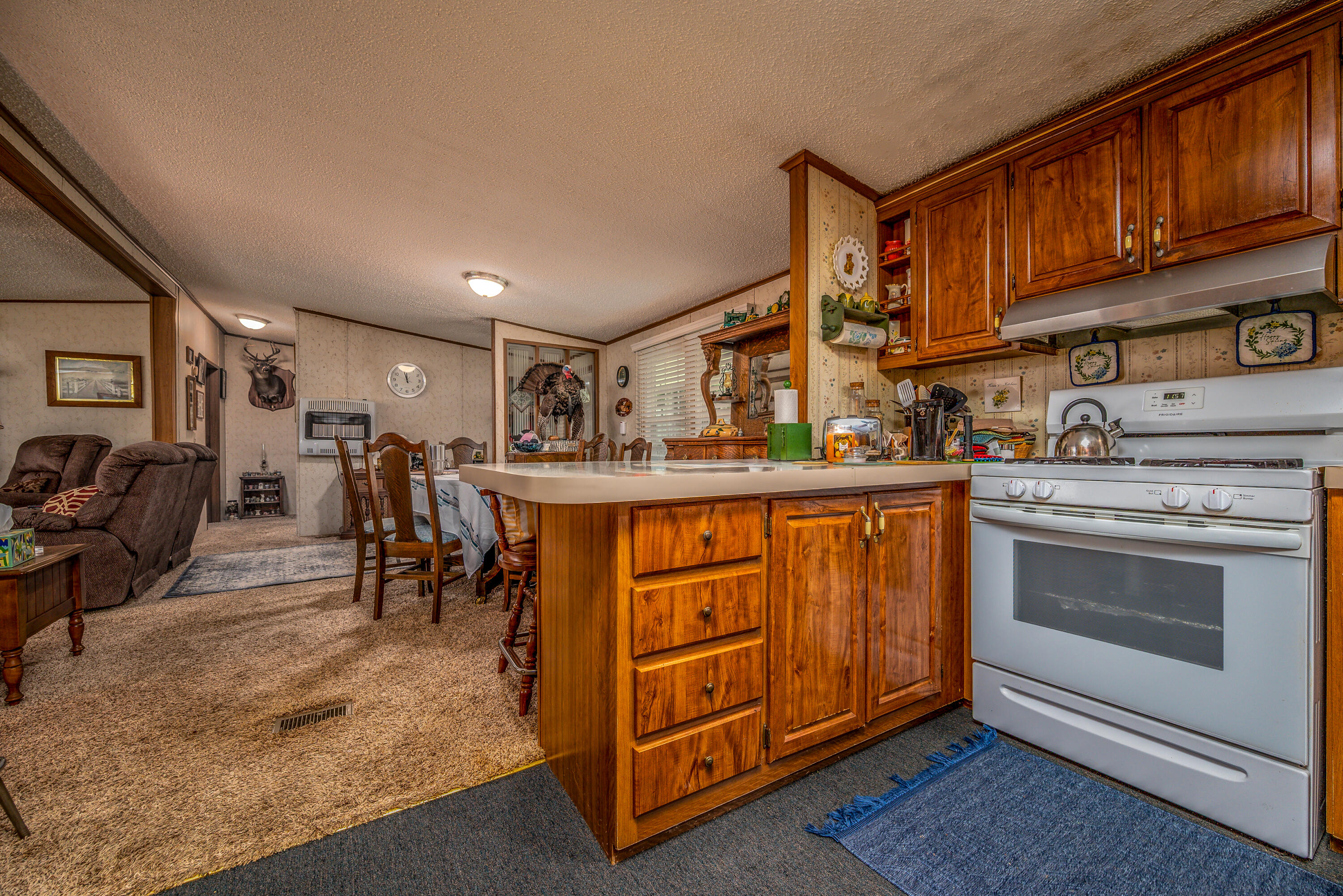 50 Hg Williams Drive Property Photo 79