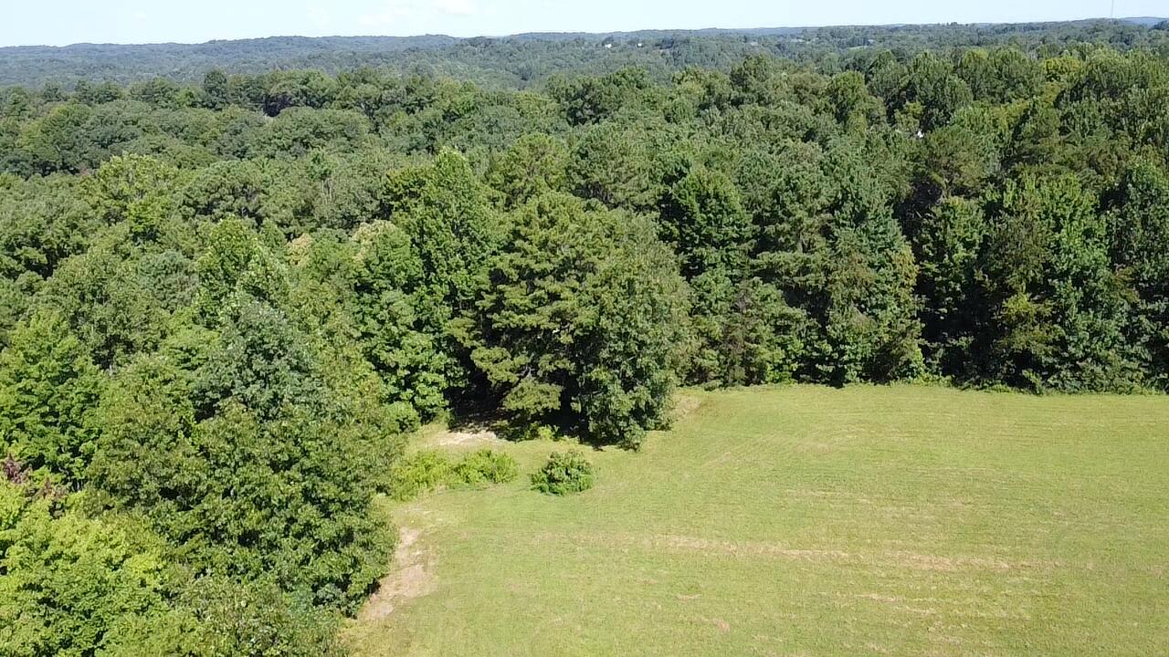 1305 1305 Hawk Creek Rd Road Property Photo 2