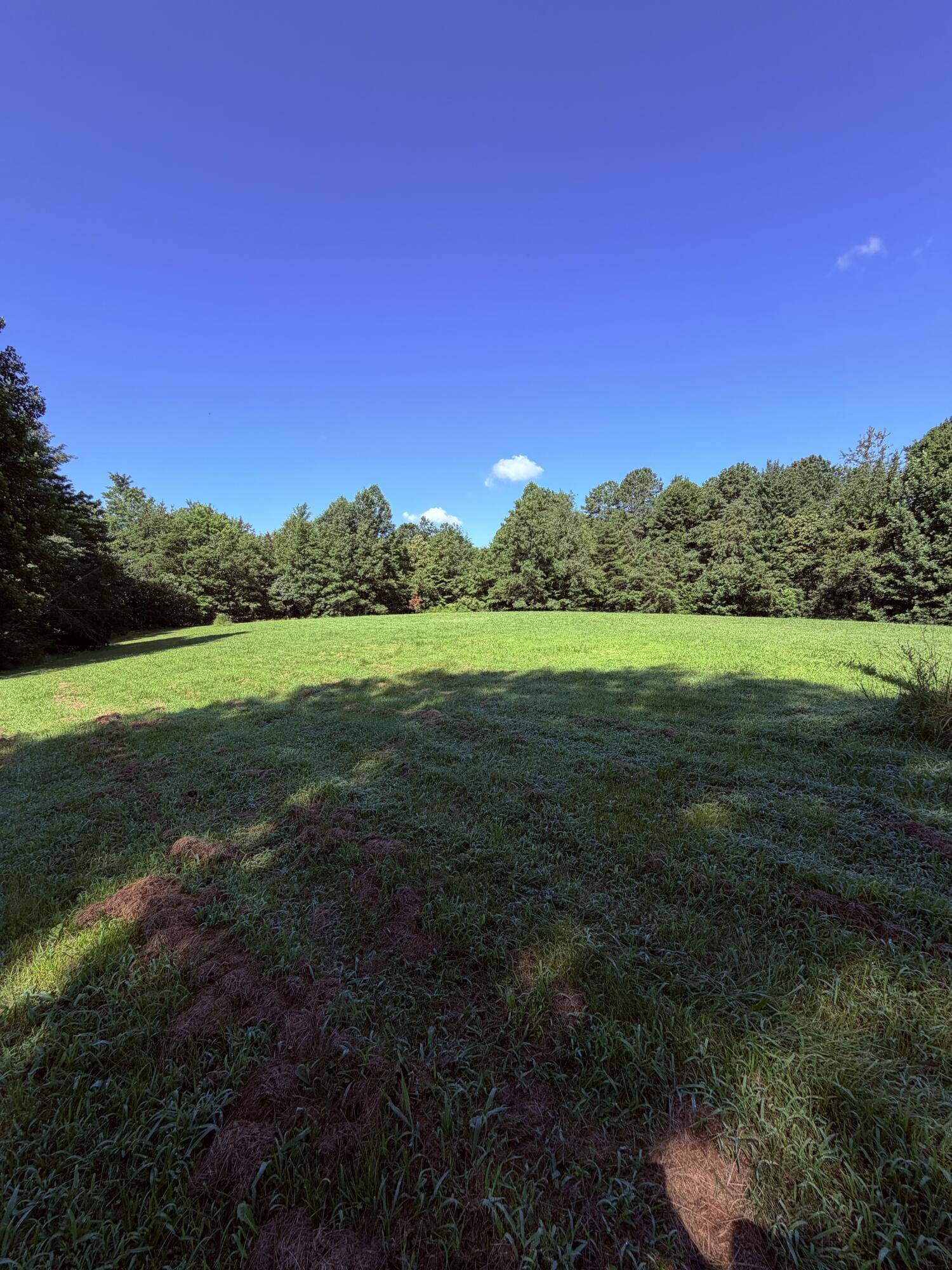 1305 1305 Hawk Creek Rd Road Property Photo 6
