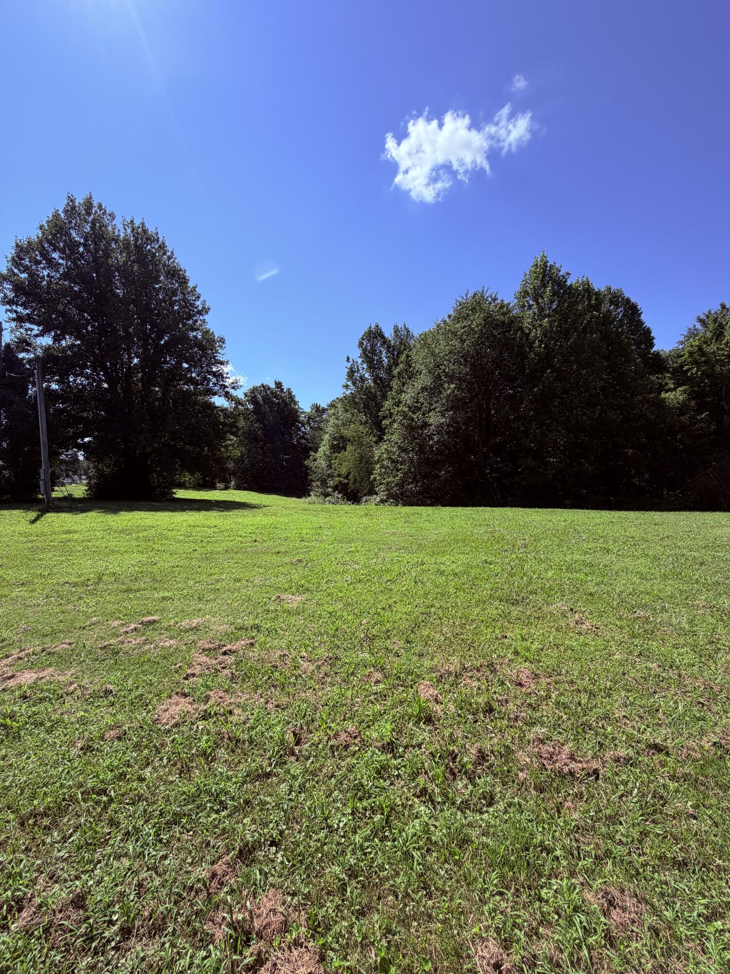 1305 1305 Hawk Creek Rd Road Property Photo 7
