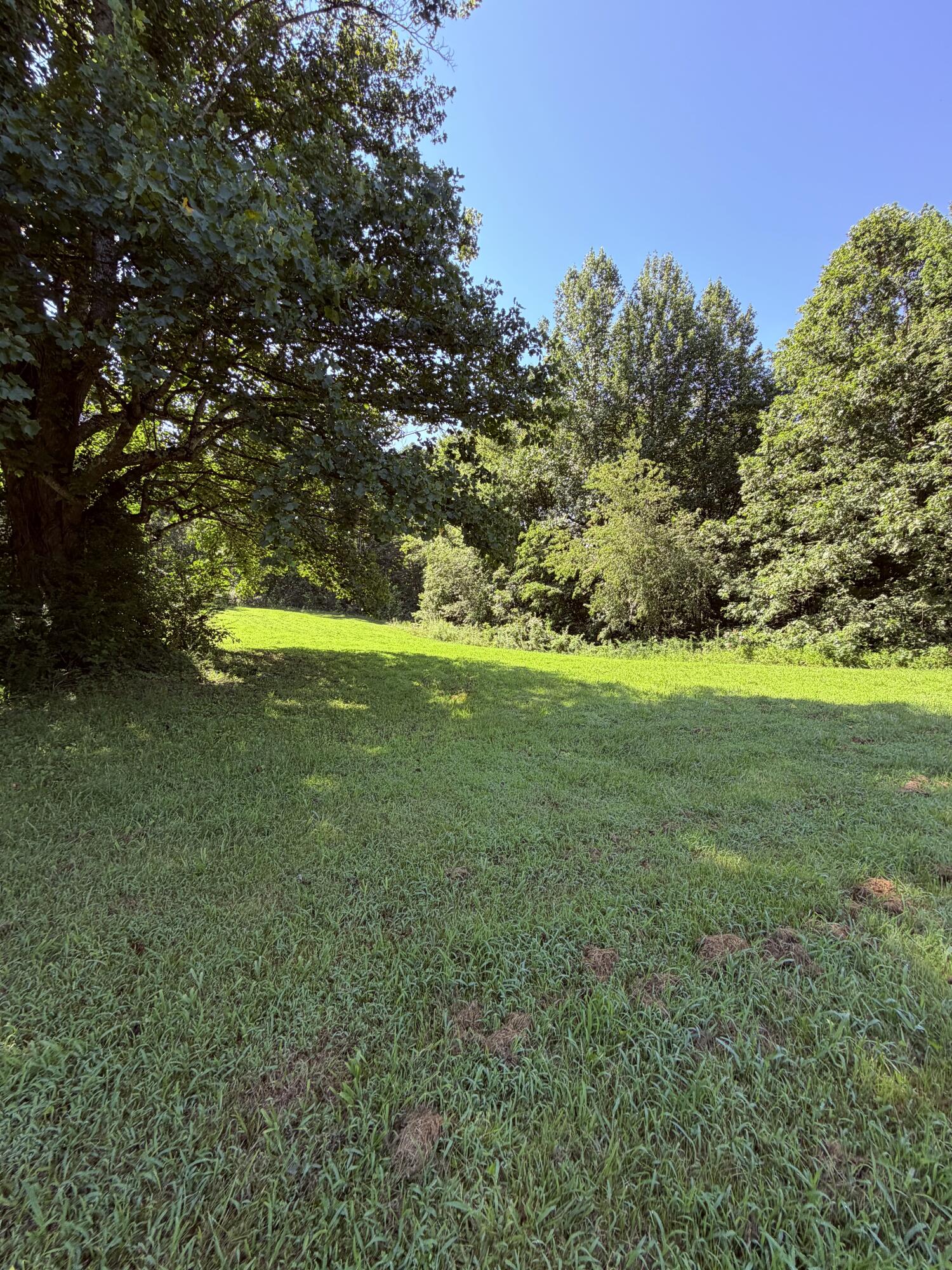 1305 1305 Hawk Creek Rd Road Property Photo 8
