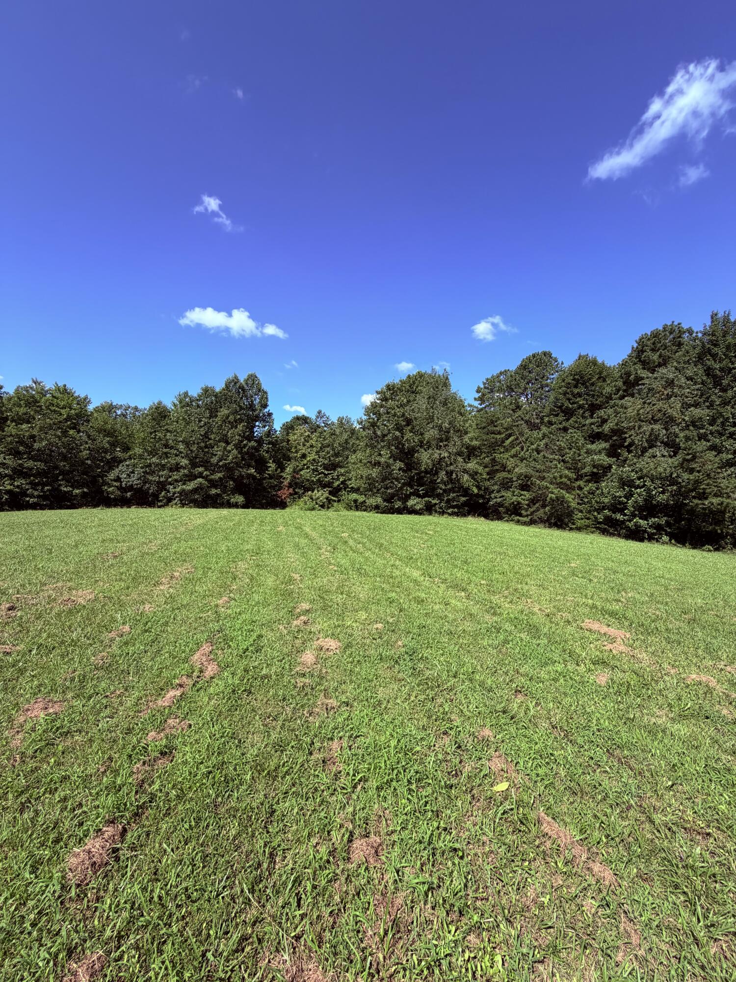 1305 1305 Hawk Creek Rd Road Property Photo 10