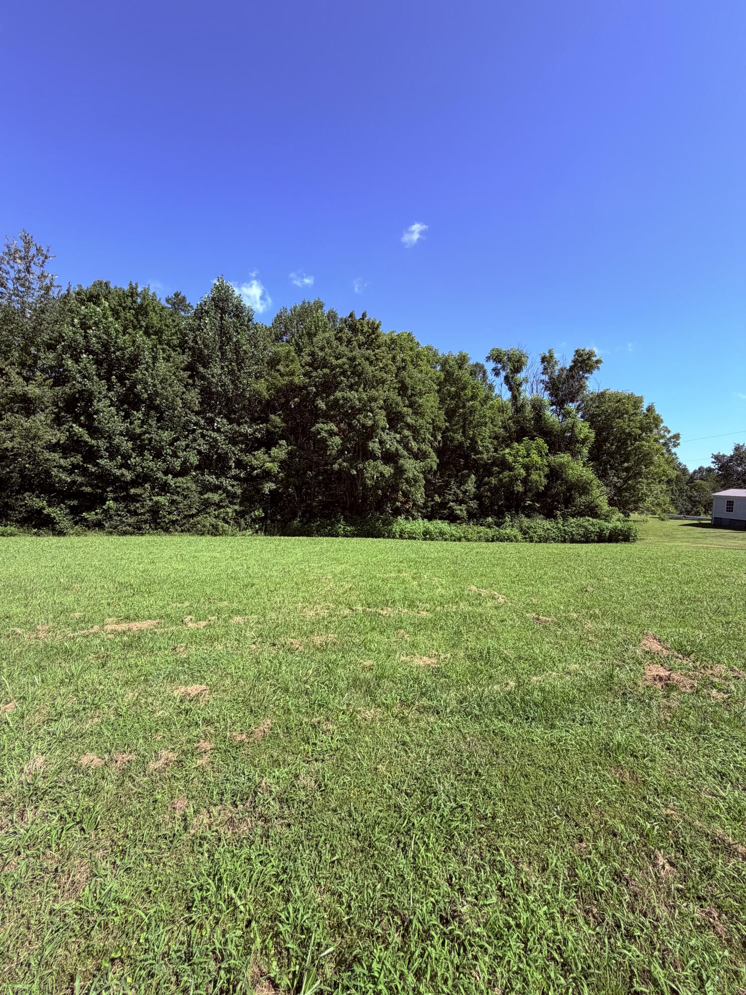 1305 1305 Hawk Creek Rd Road Property Photo 13