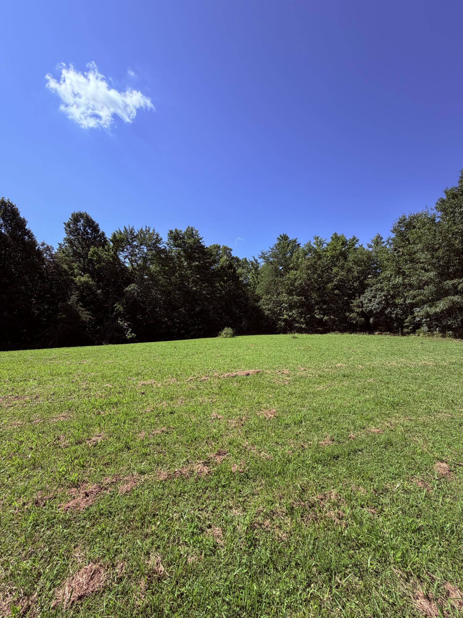 1305 1305 Hawk Creek Rd Road Property Photo 15