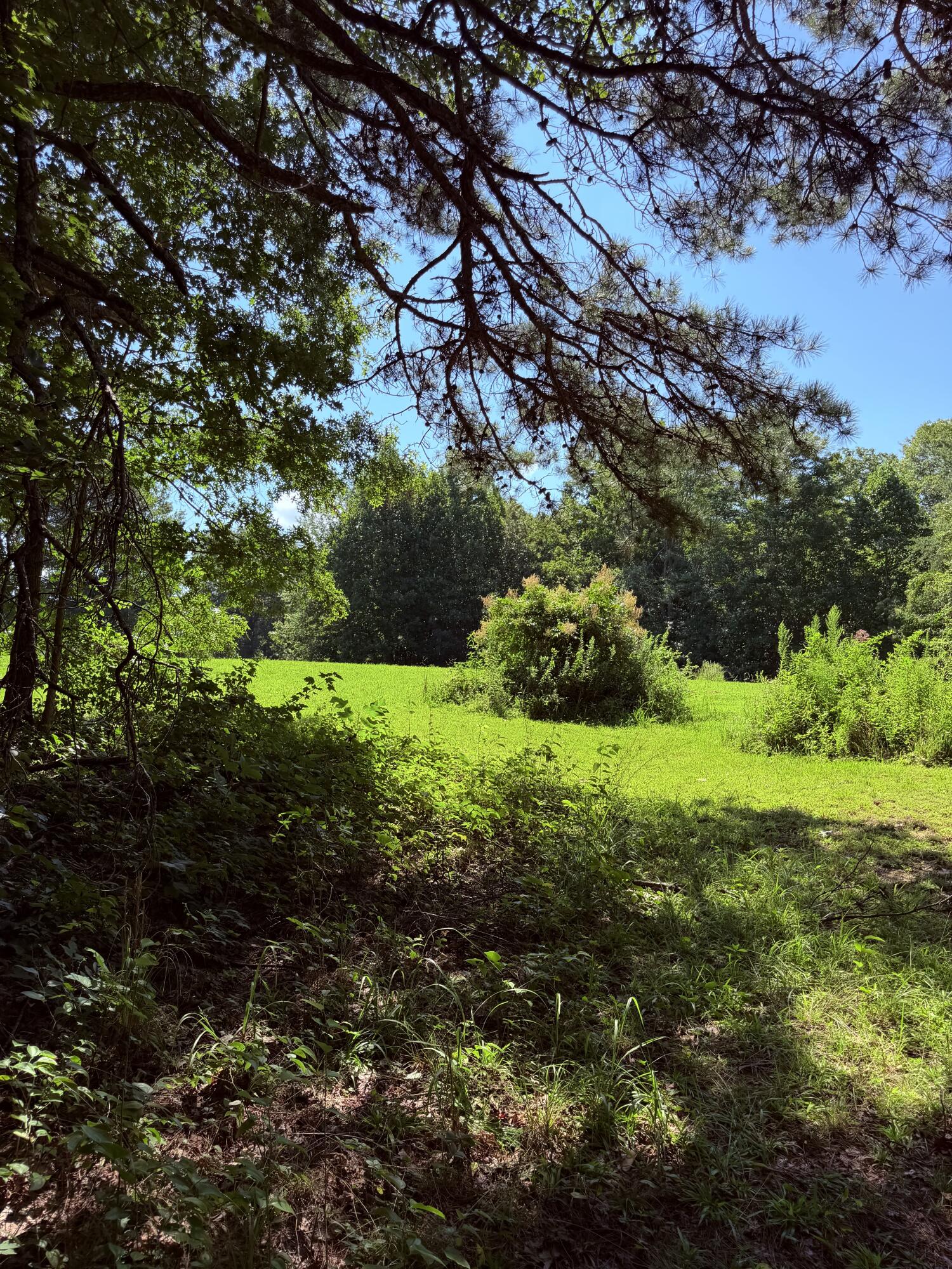 1305 1305 Hawk Creek Rd Road Property Photo 17