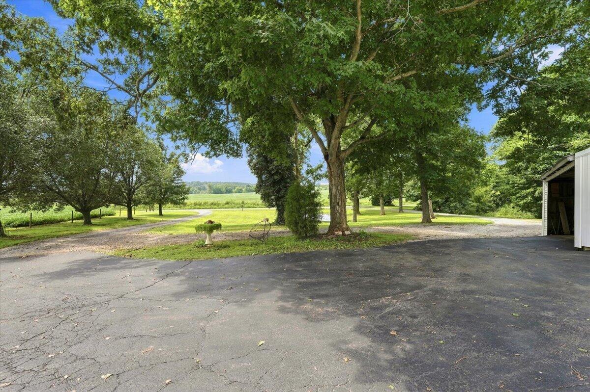314 J D Bugg Road Property Photo 59