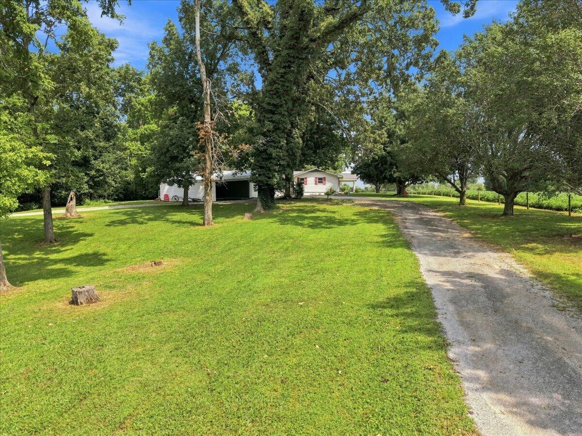 314 J D Bugg Road Property Photo 66