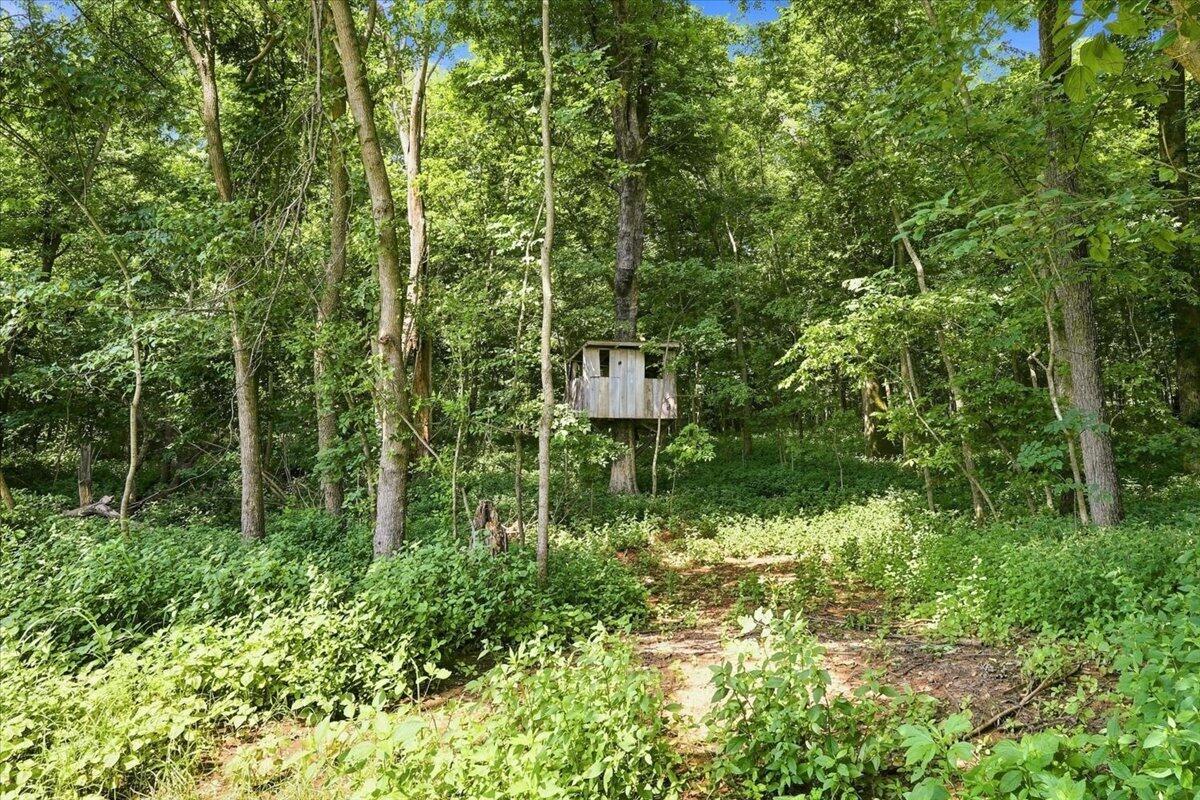 314 J D Bugg Road Property Photo 67