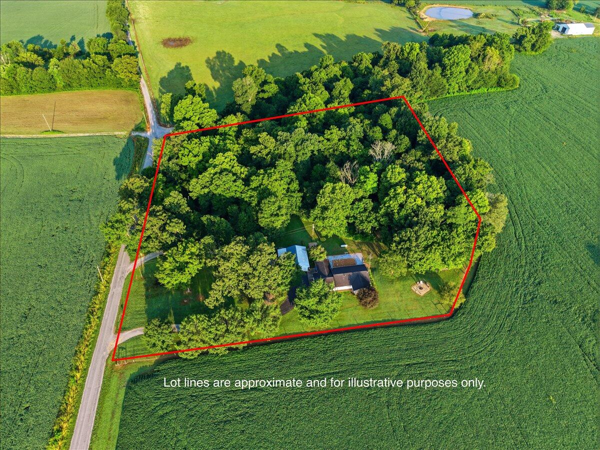 314 J D Bugg Road Property Photo 68
