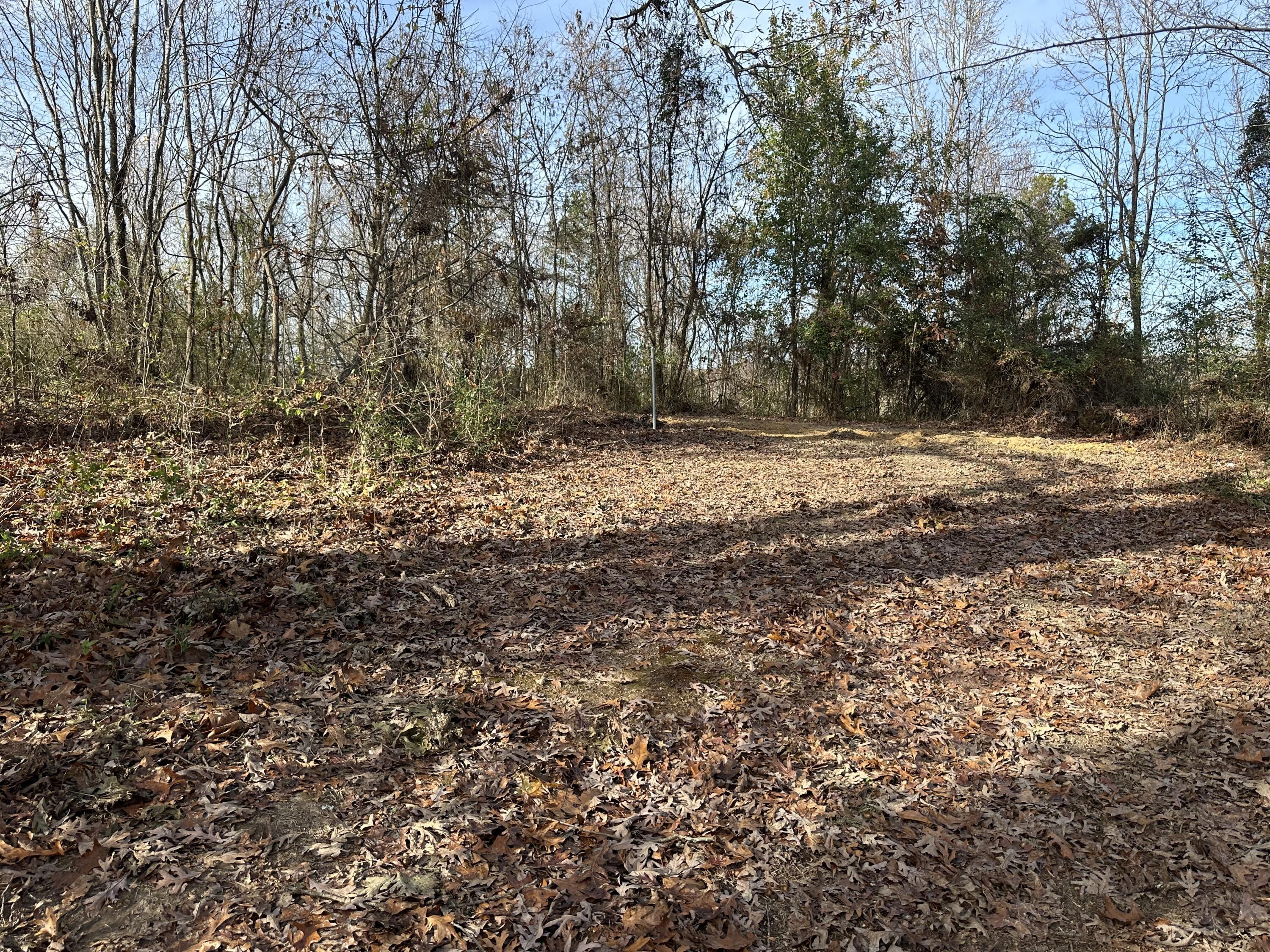 41 Belle Point Road Property Photo 19