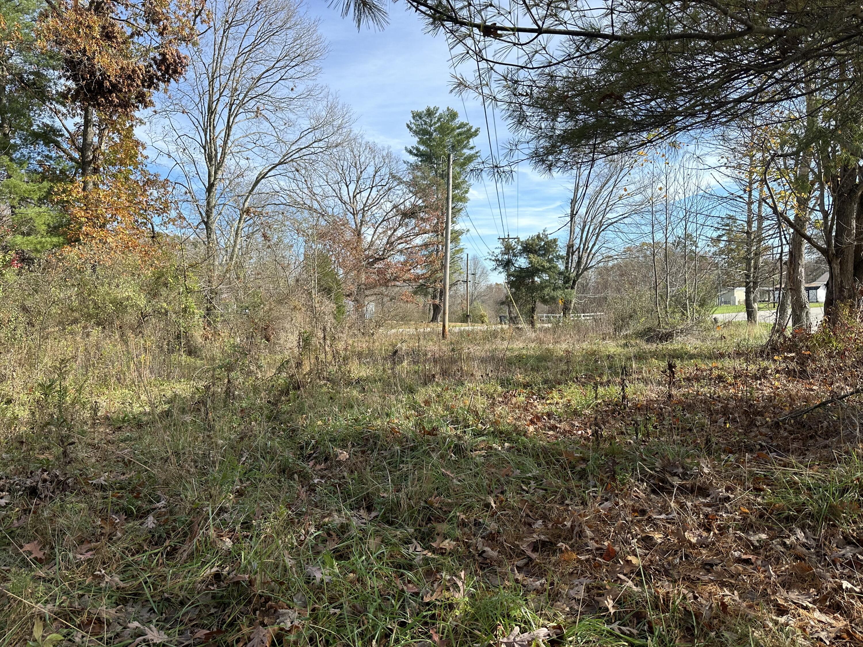 41 Belle Point Road Property Photo 21