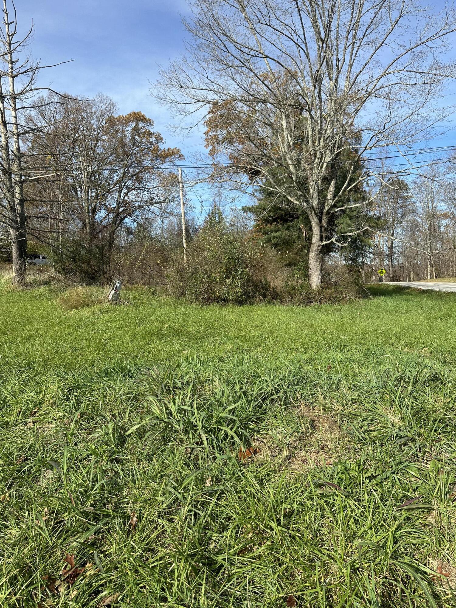 41 Belle Point Road Property Photo 23