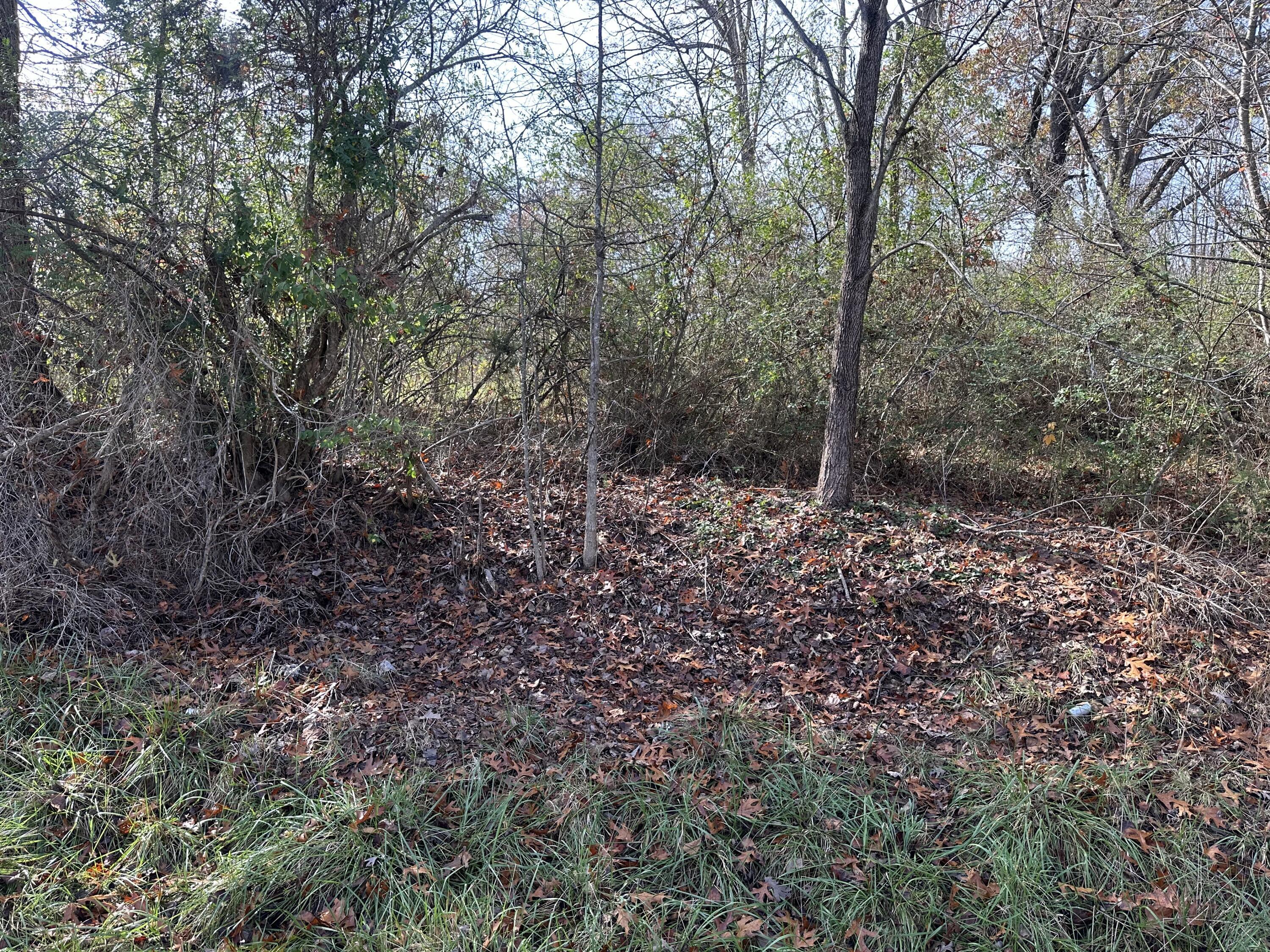 41 Belle Point Road Property Photo 26