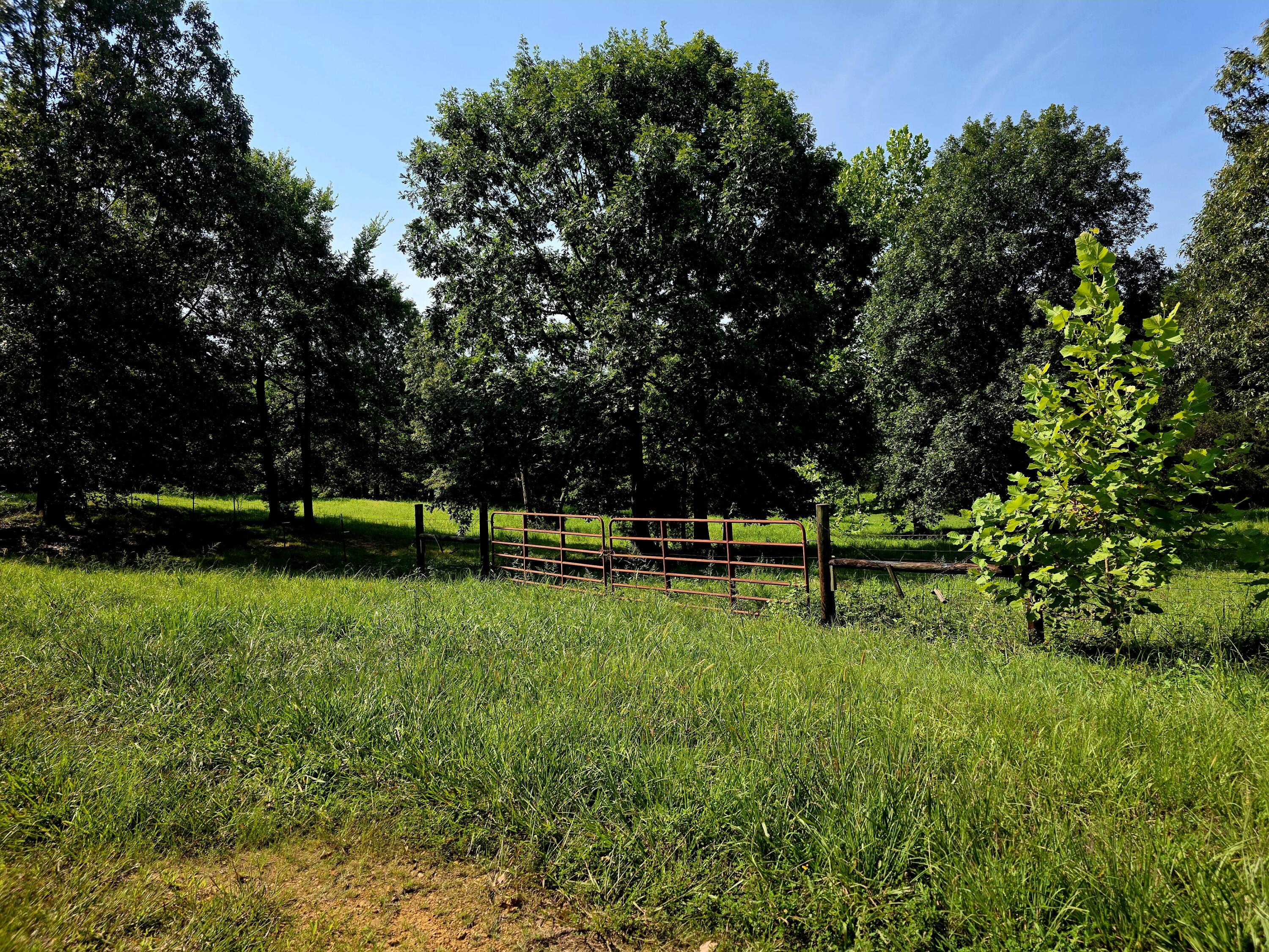 0 Crooked Oak Loop Property Photo 1