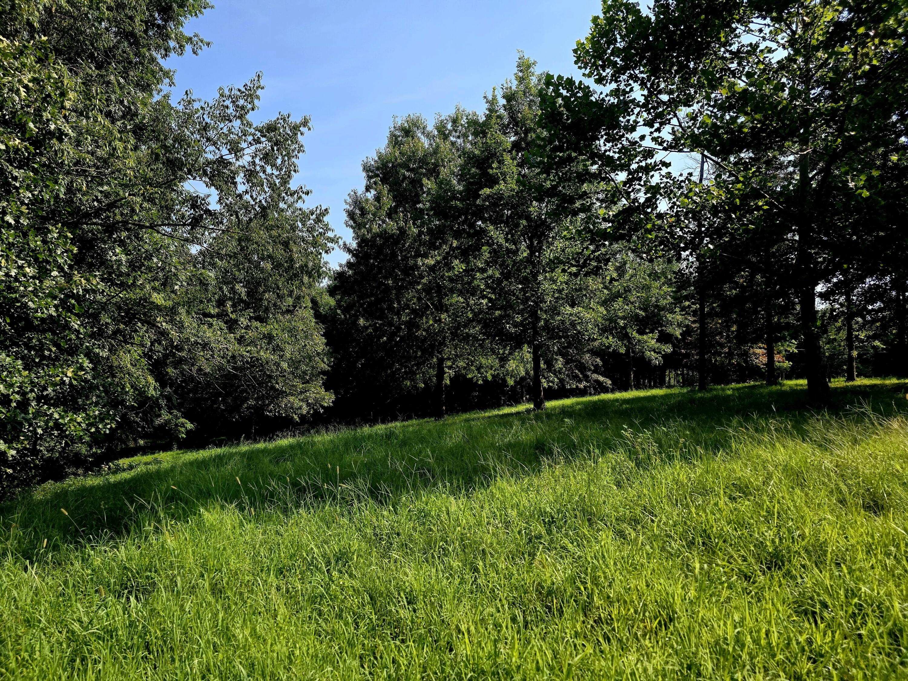 0 Crooked Oak Loop Property Photo 2