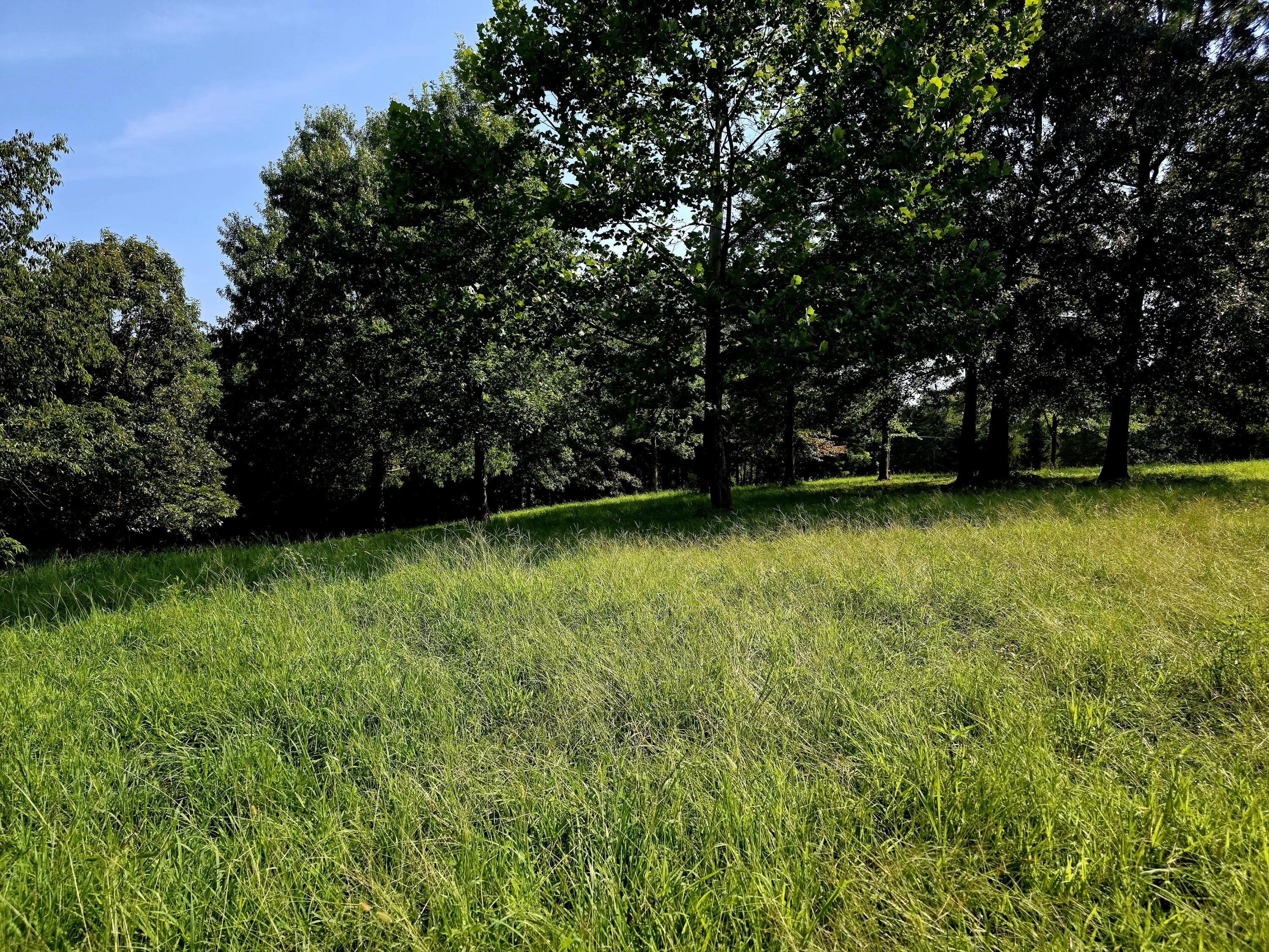 0 Crooked Oak Loop Property Photo 3