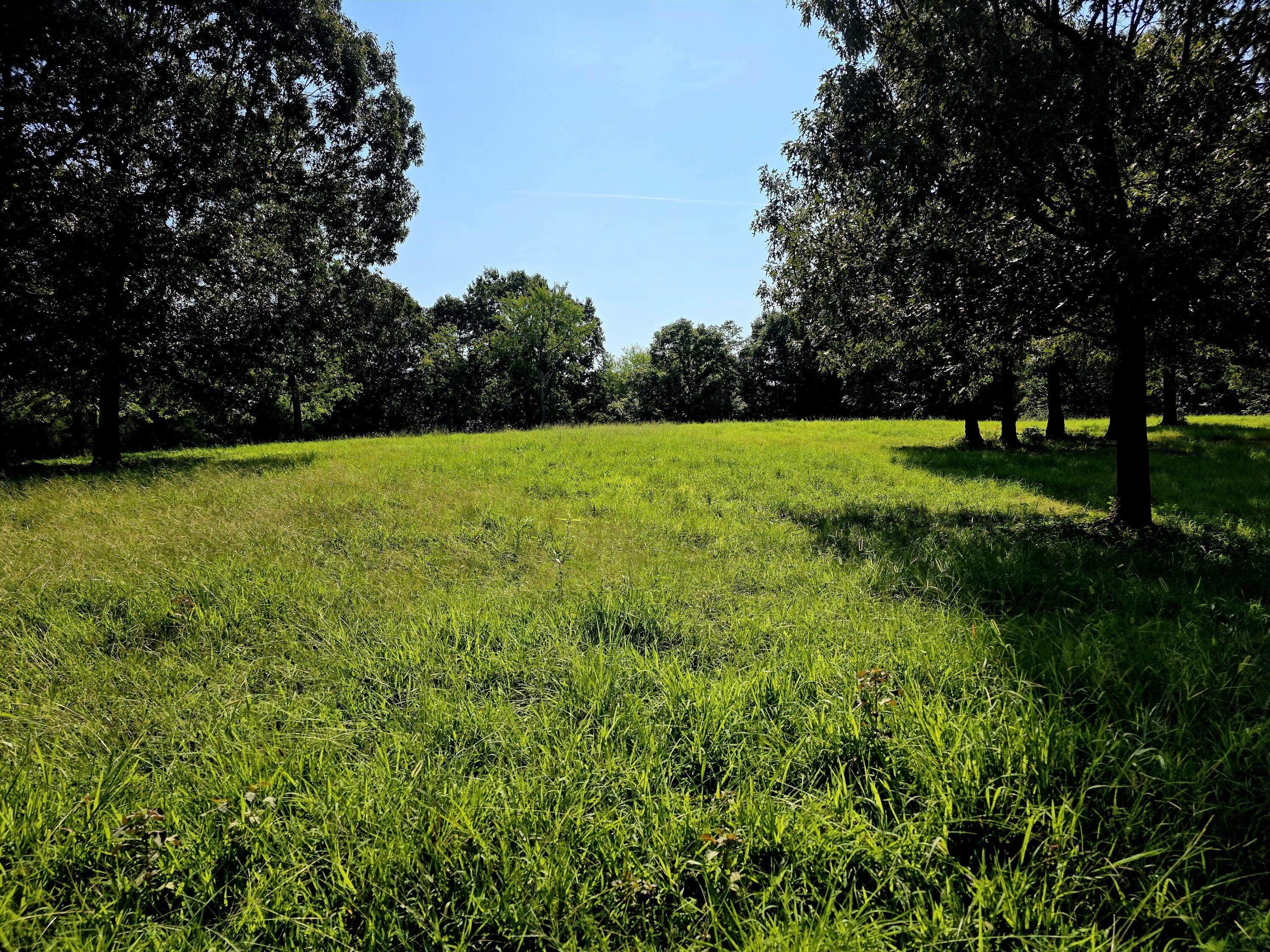 0 Crooked Oak Loop Property Photo 4