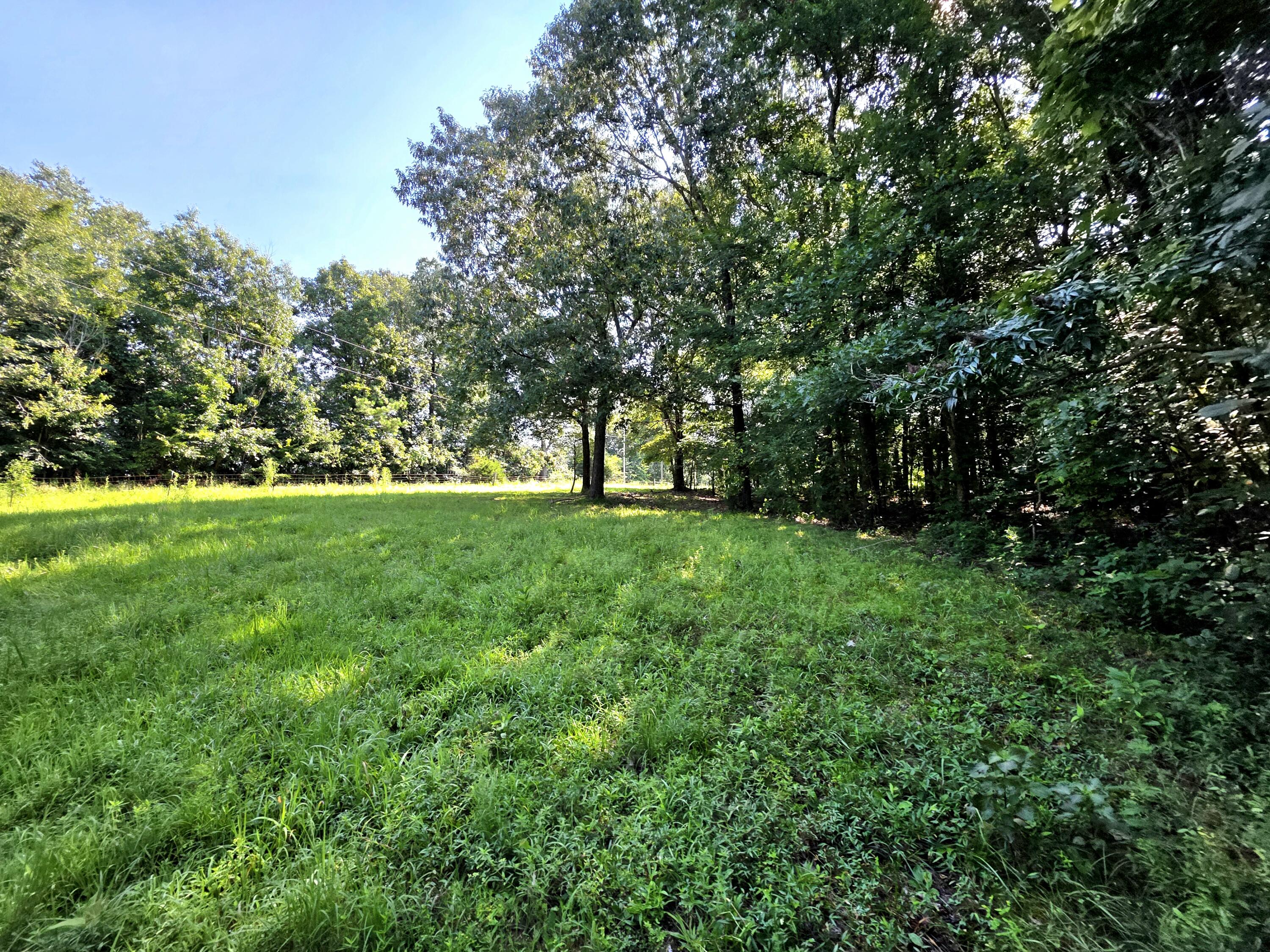 0 Crooked Oak Loop Property Photo 6