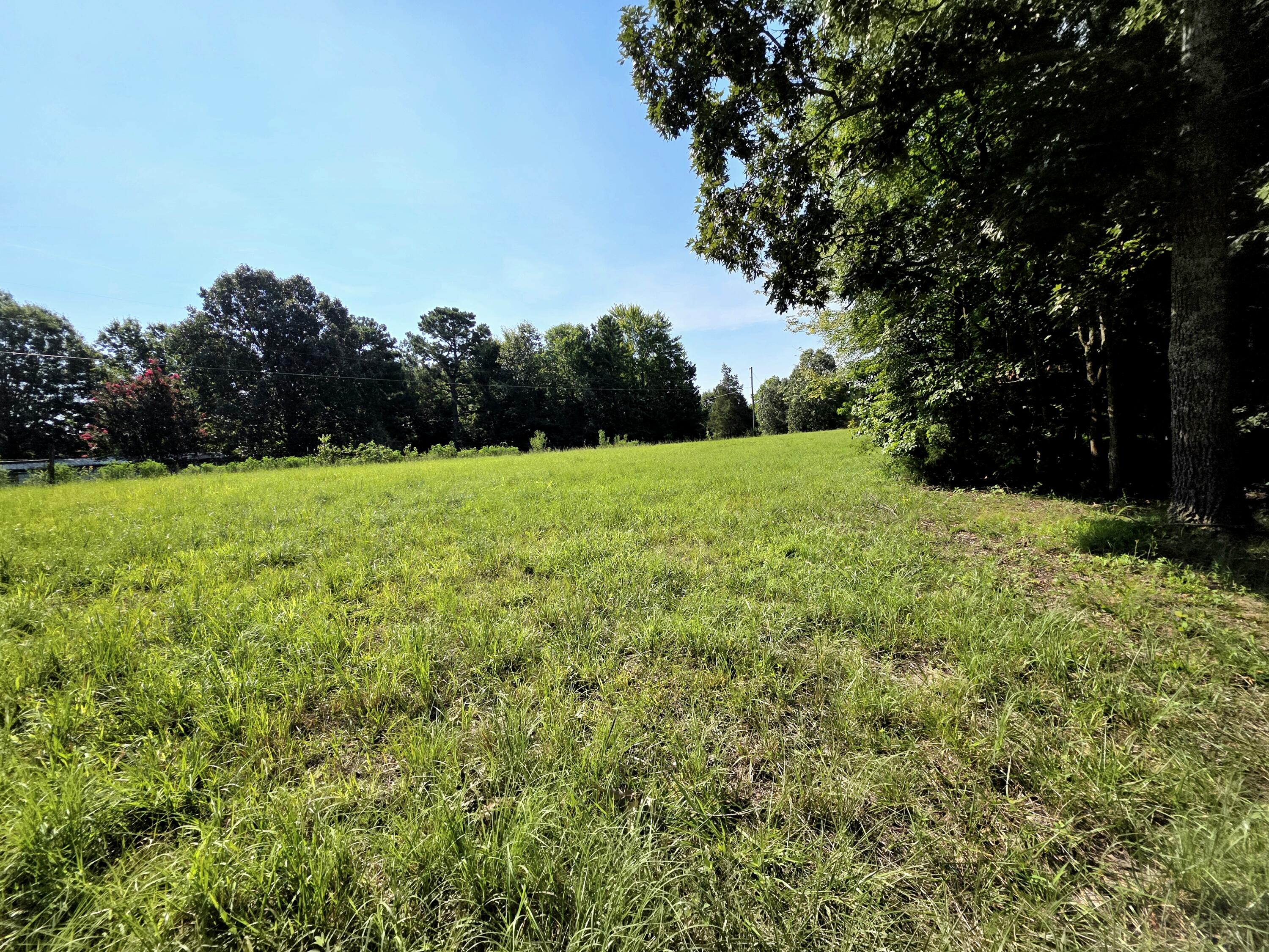 0 Crooked Oak Loop Property Photo 8