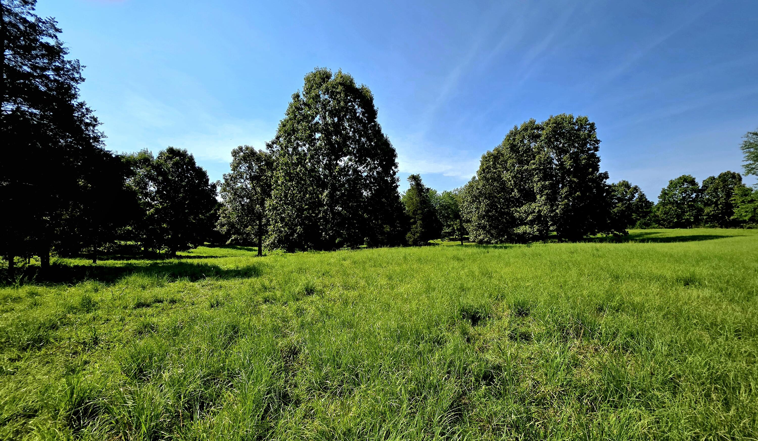 0 Crooked Oak Loop Property Photo 10