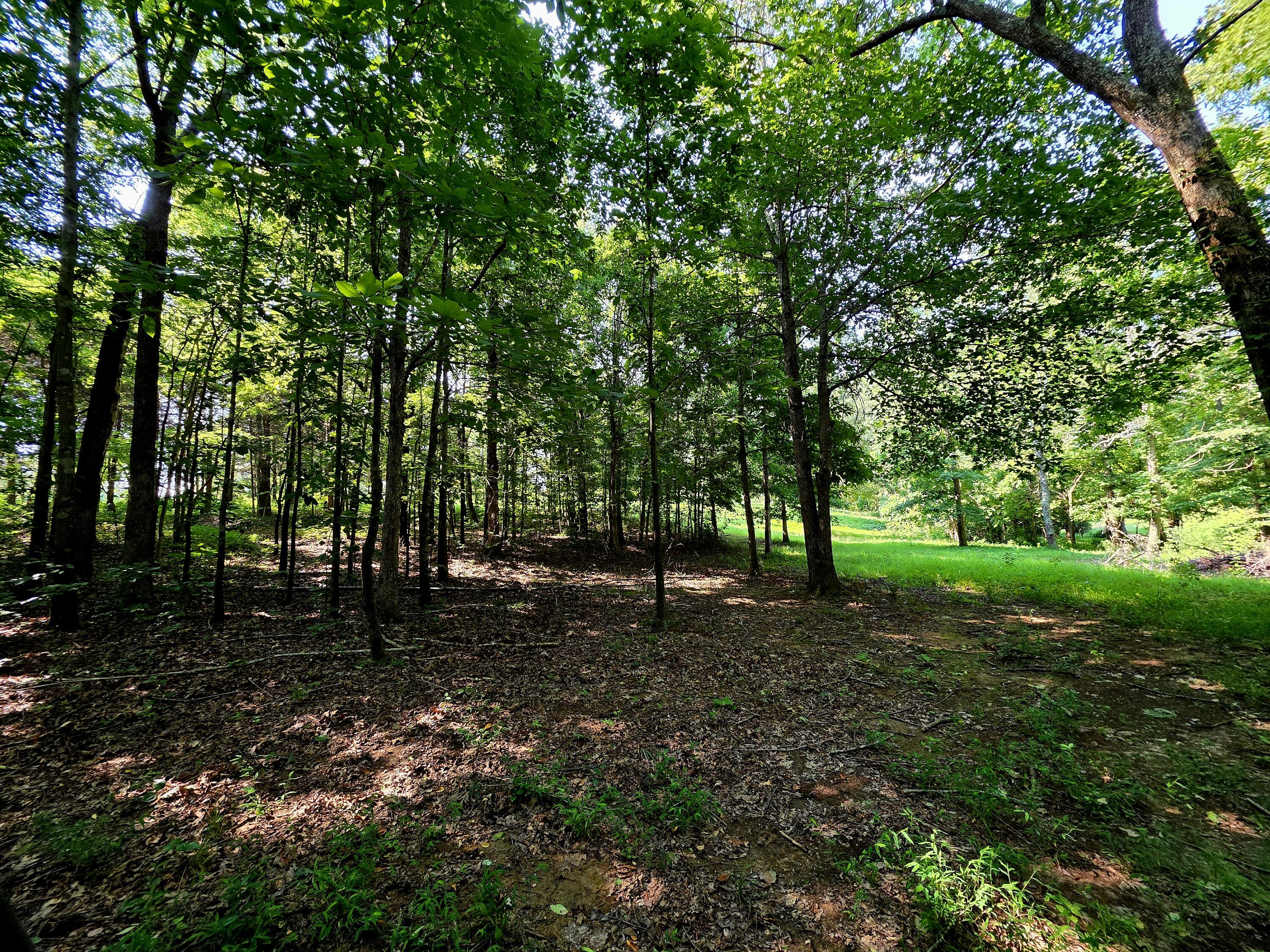 0 Crooked Oak Loop Property Photo 11