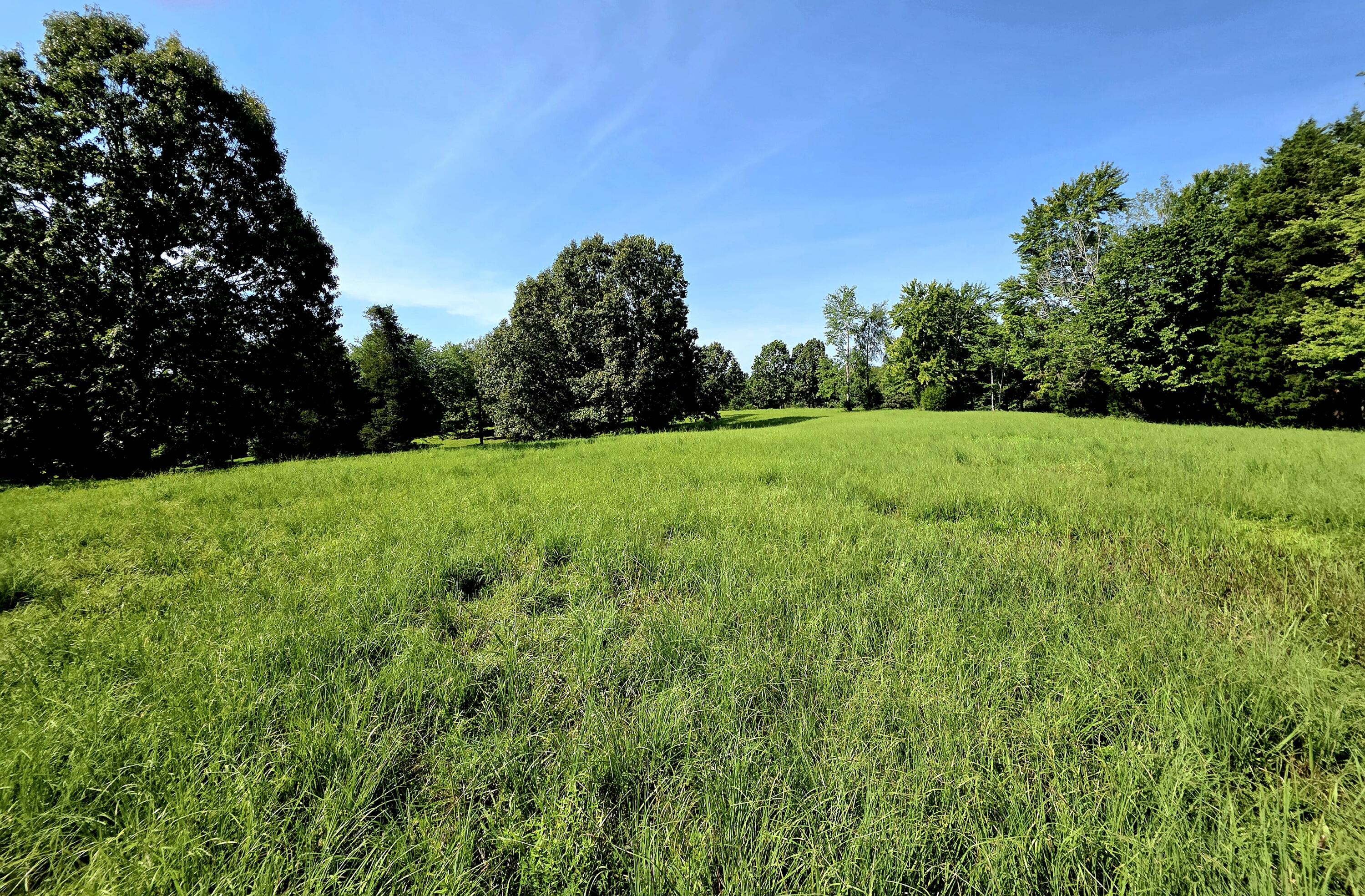 0 Crooked Oak Loop Property Photo 12