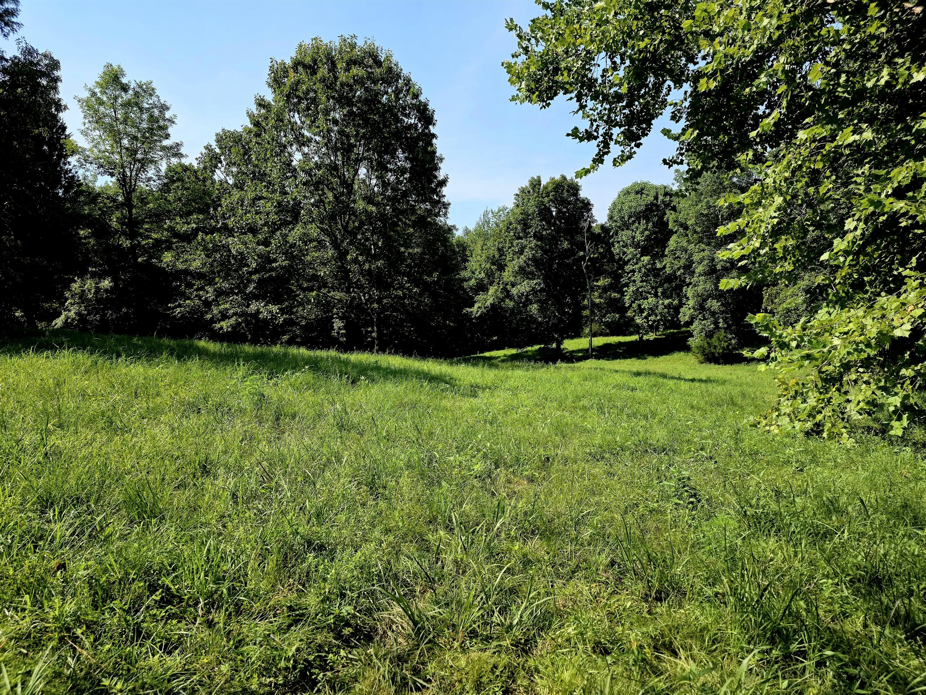 0 Crooked Oak Loop Property Photo 13