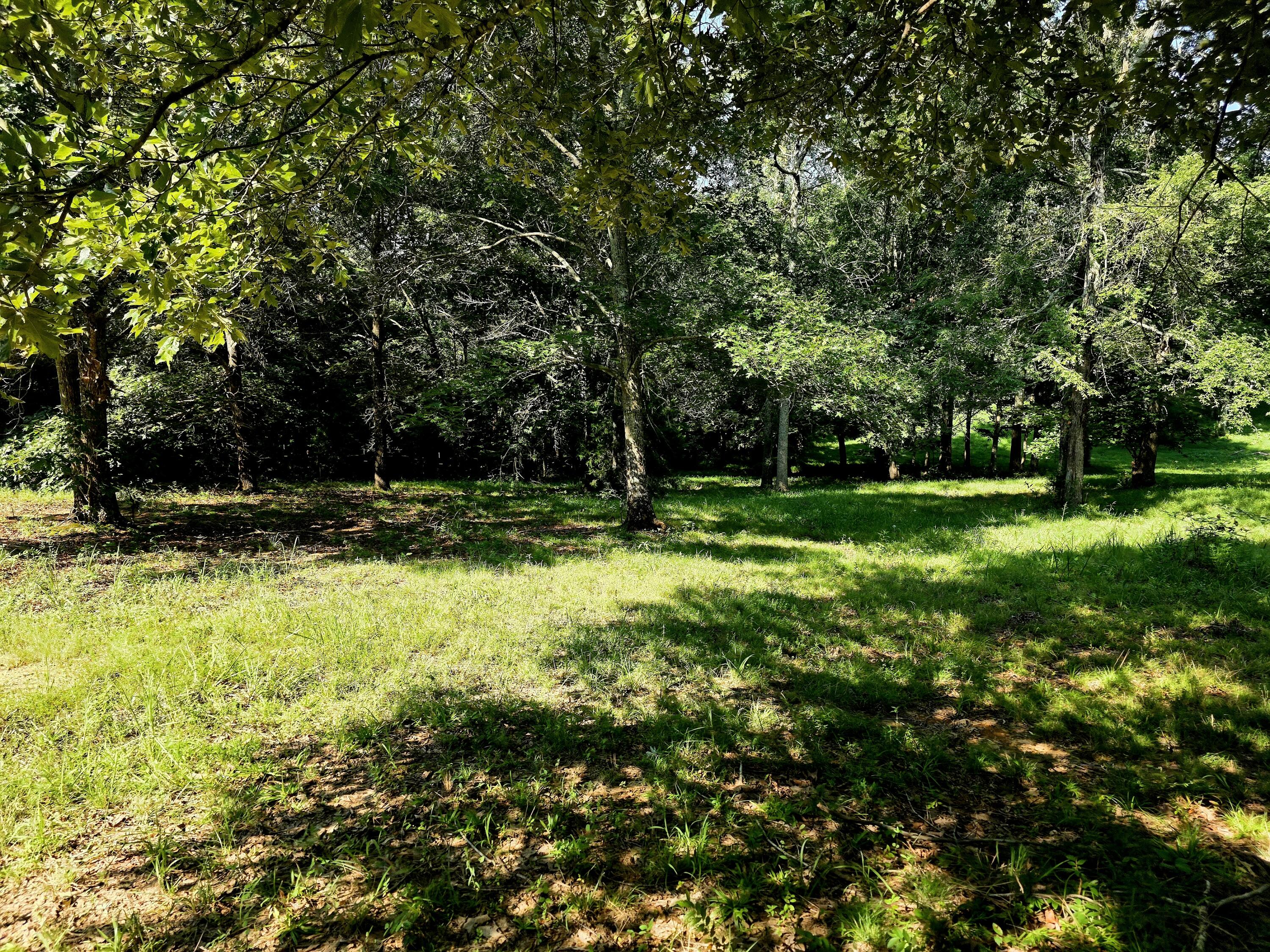 0 Crooked Oak Loop Property Photo 14