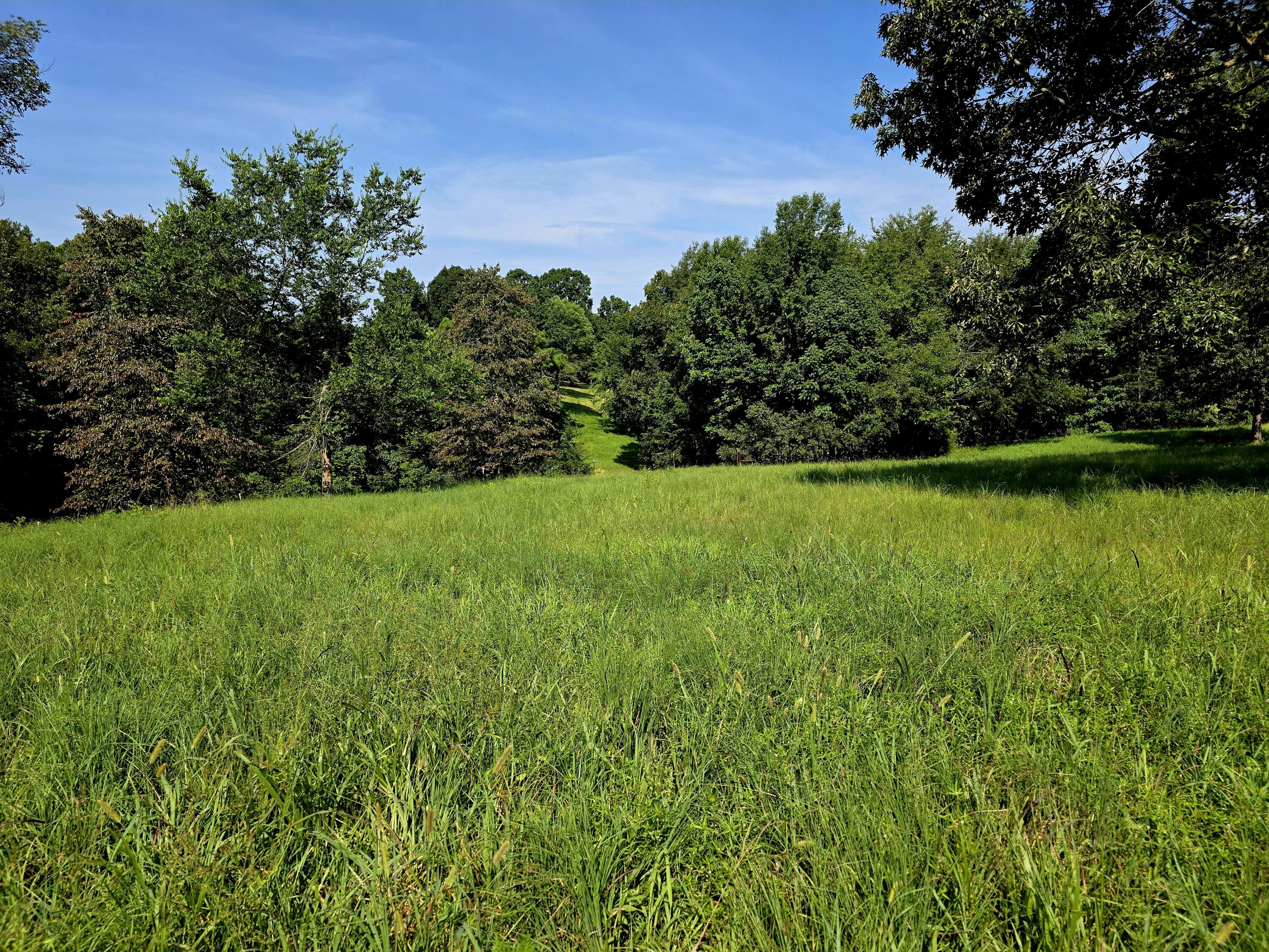 0 Crooked Oak Loop Property Photo 15
