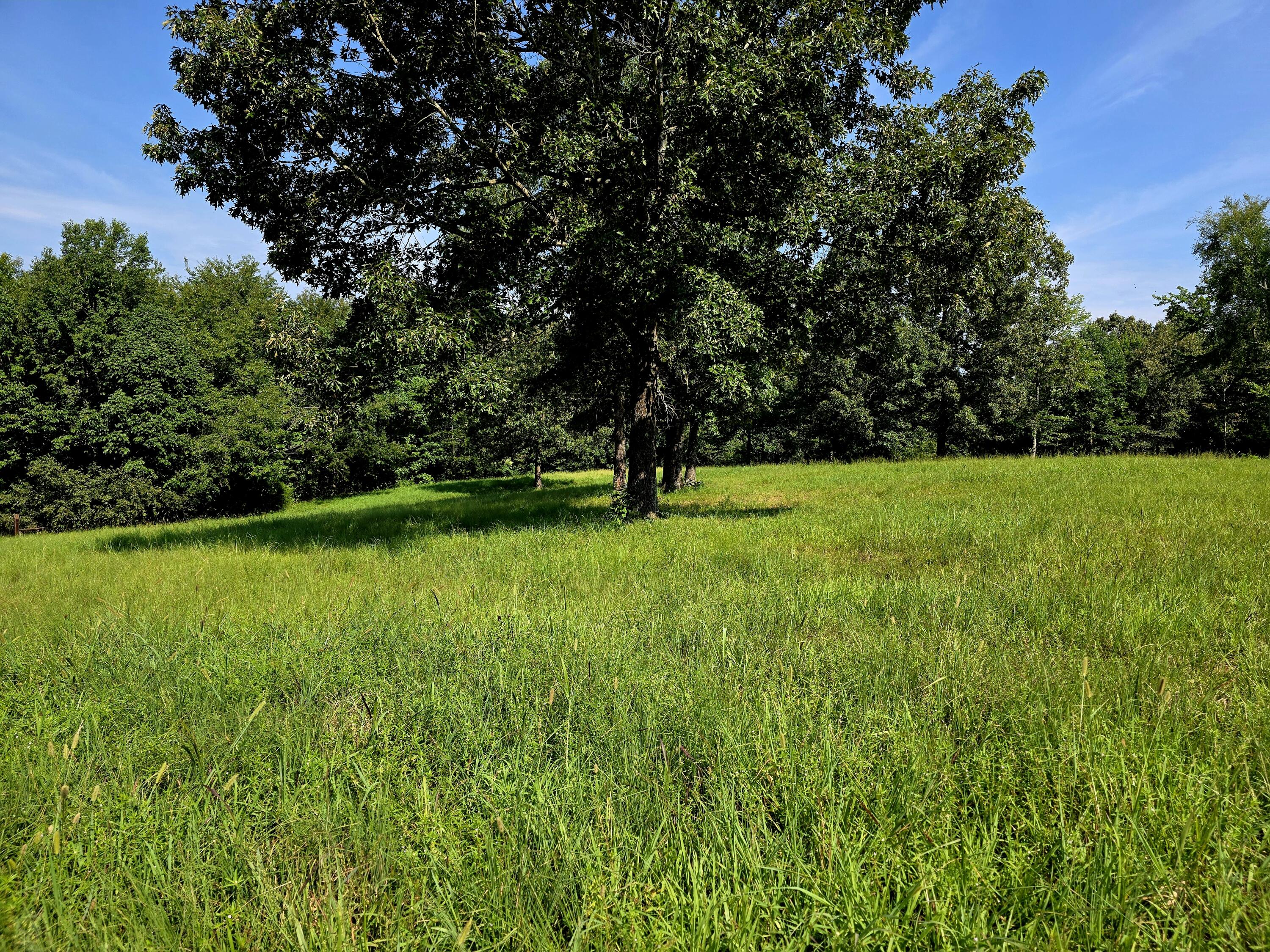 0 Crooked Oak Loop Property Photo 16
