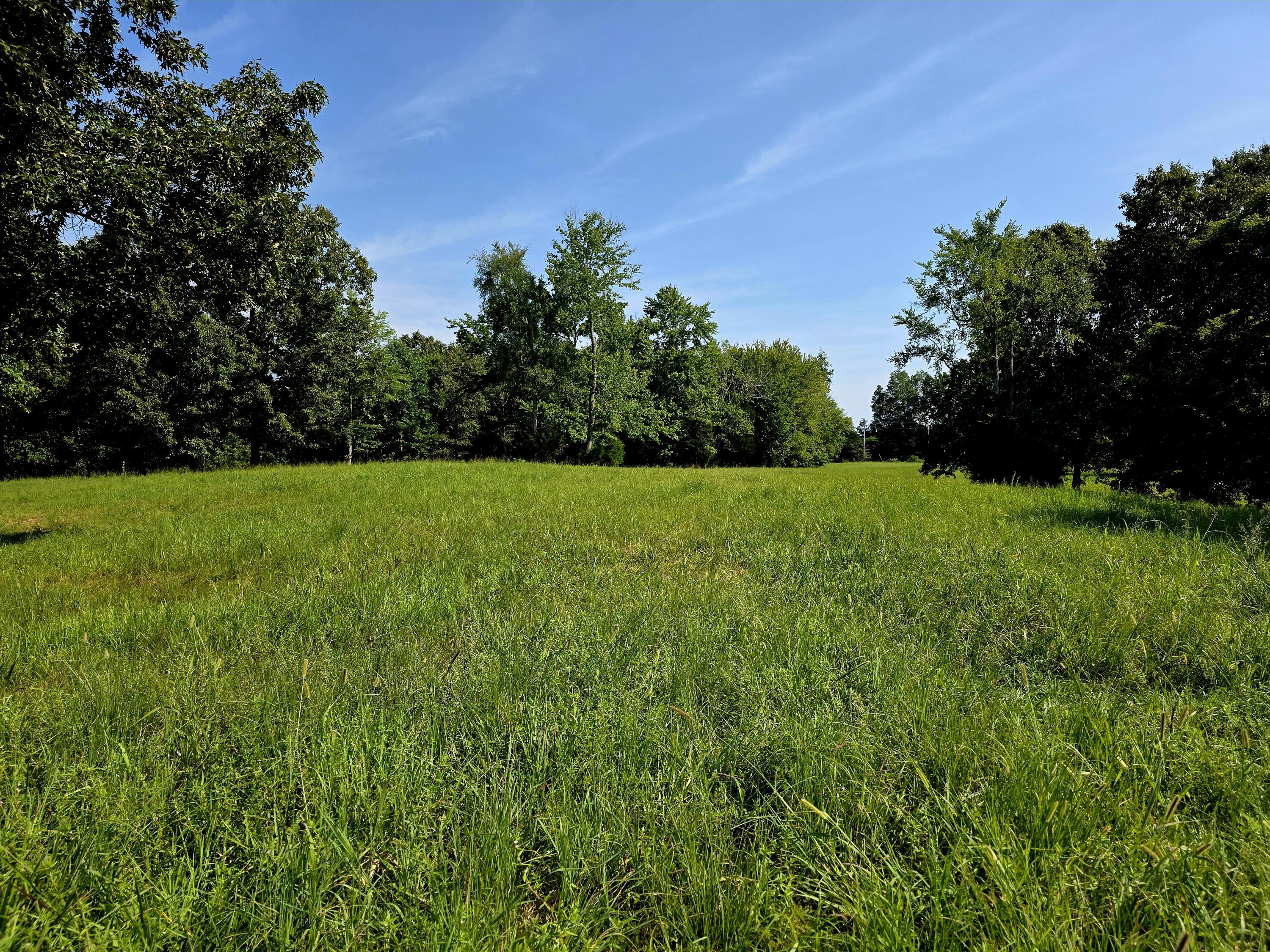 0 Crooked Oak Loop Property Photo 17