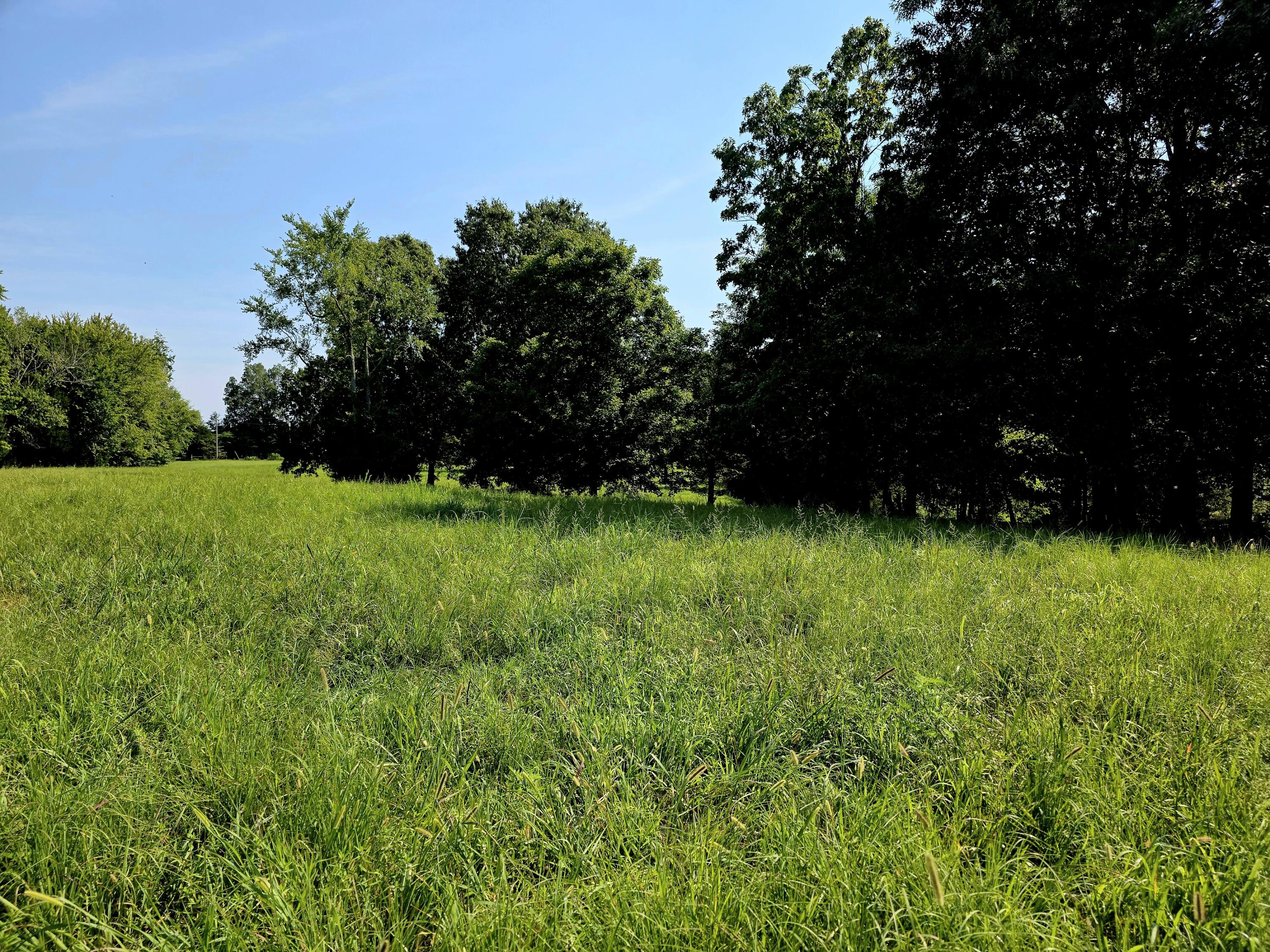 0 Crooked Oak Loop Property Photo 18