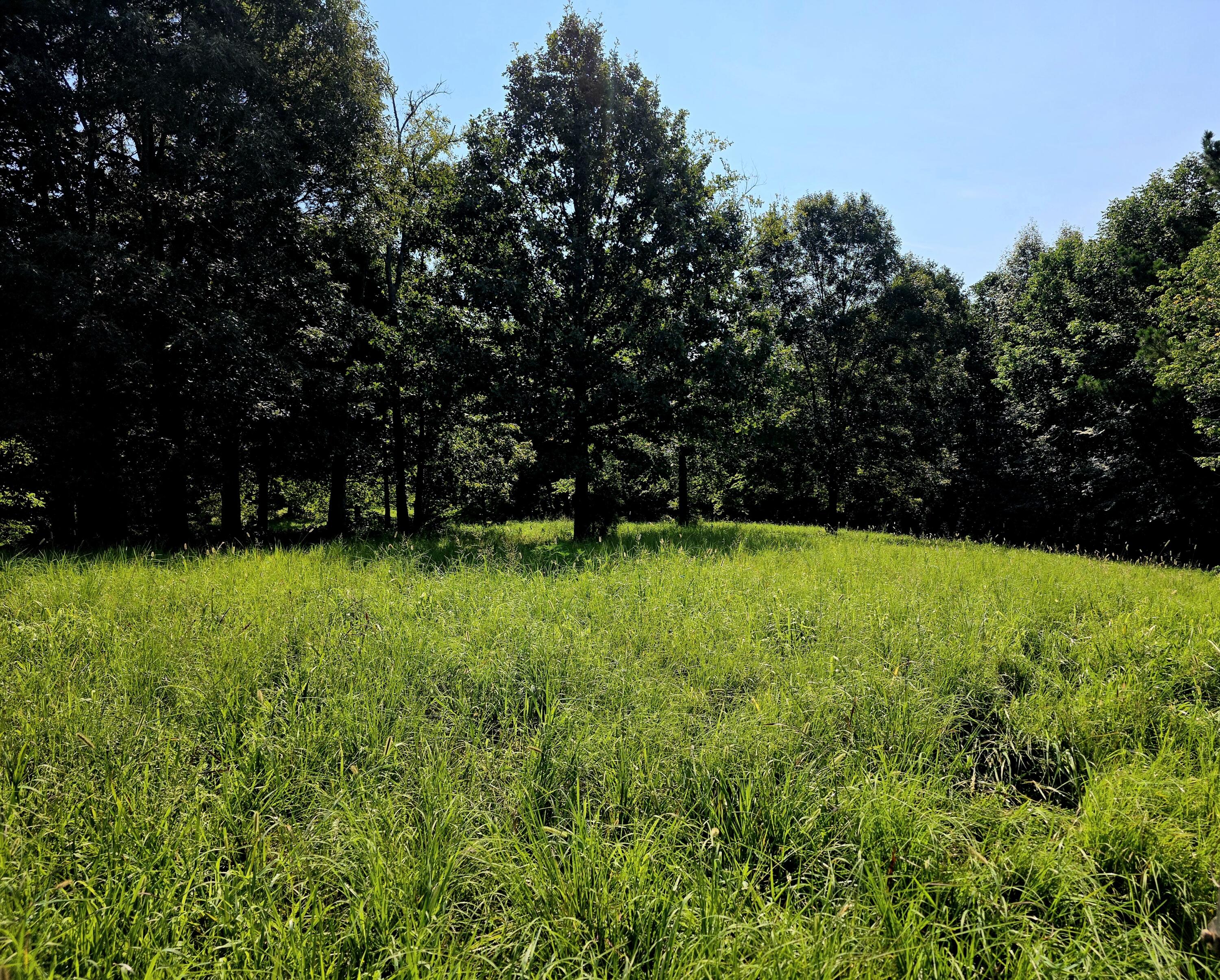 0 Crooked Oak Loop Property Photo 19