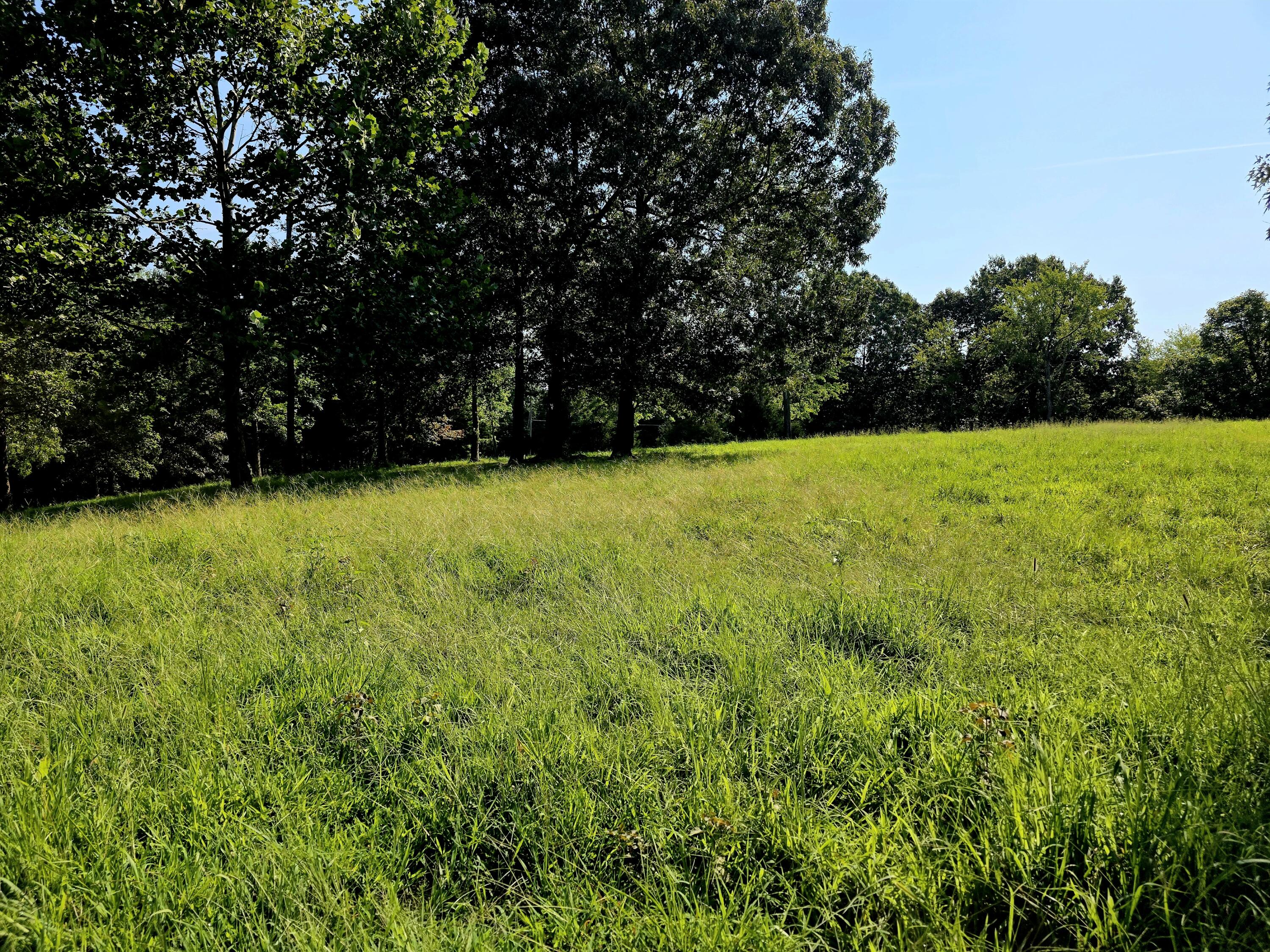 0 Crooked Oak Loop Property Photo 20
