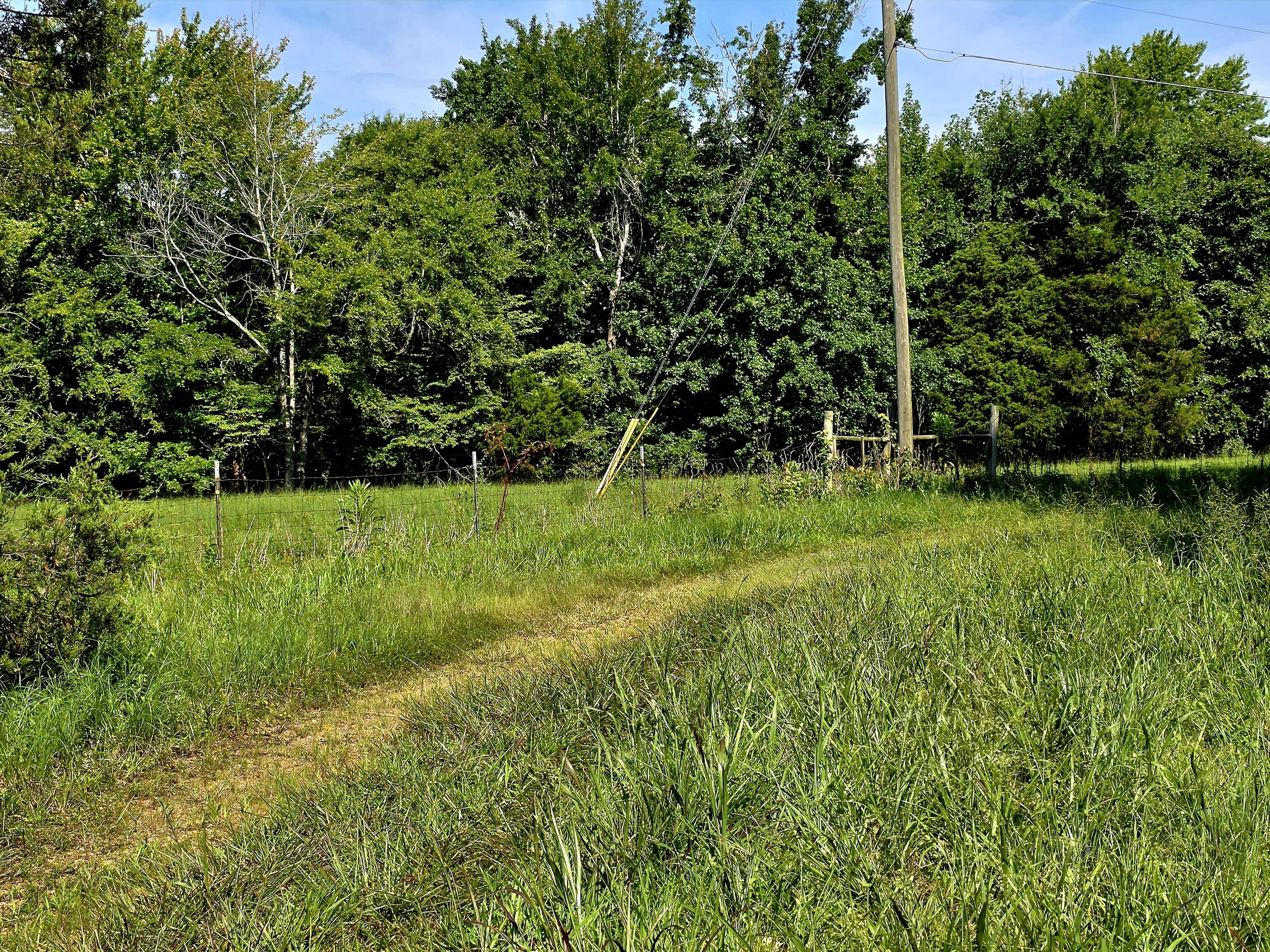 0 Crooked Oak Loop Property Photo 21