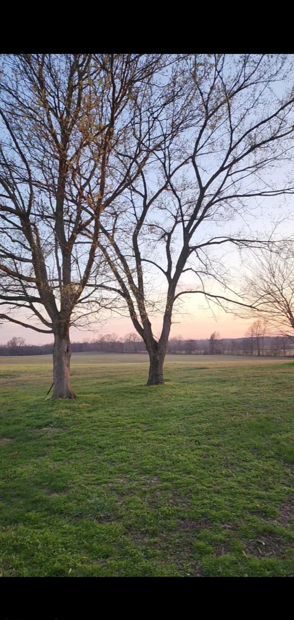 2413 Lowes Road Property Photo 43