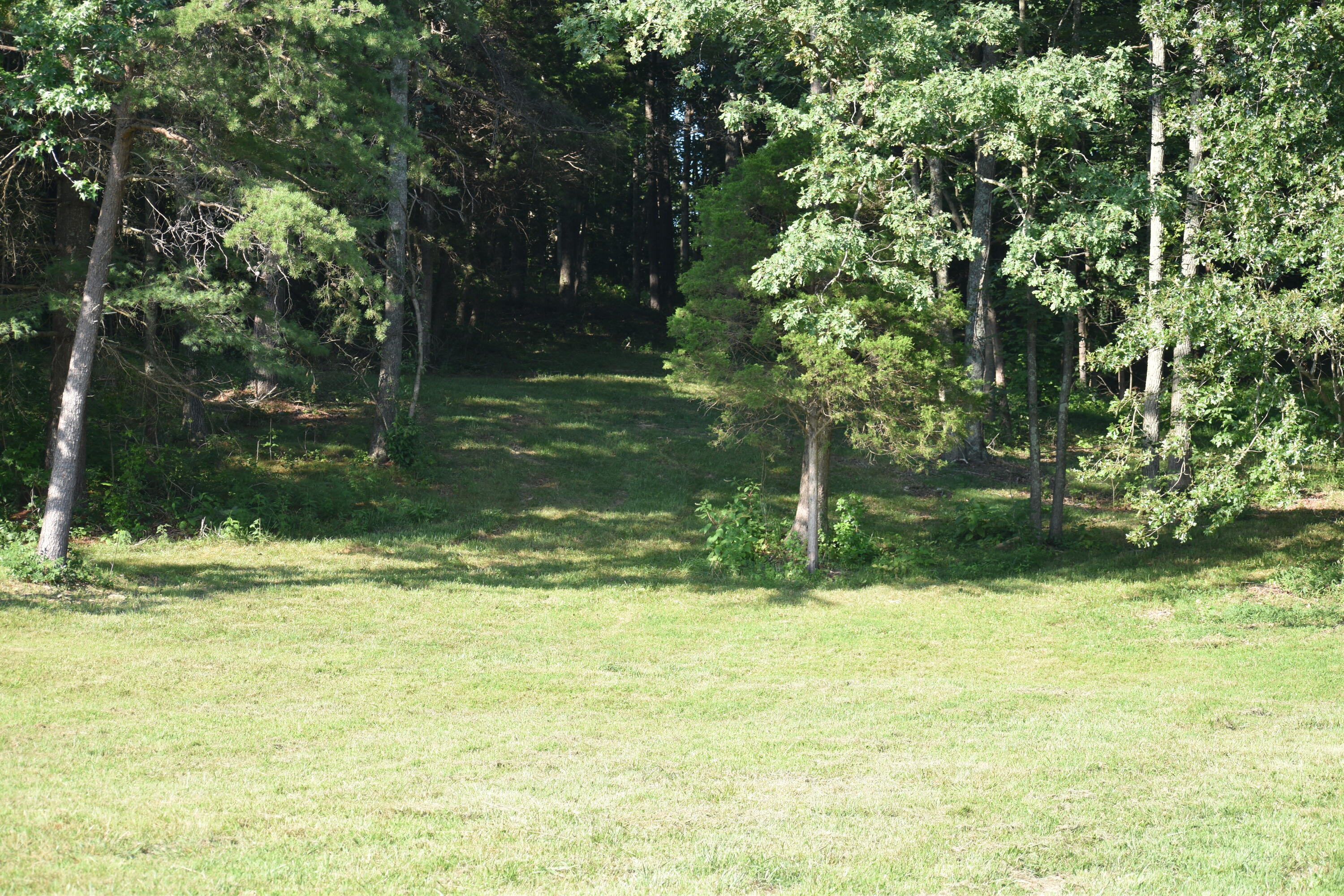 1040 Kentucky 801 Property Photo 2
