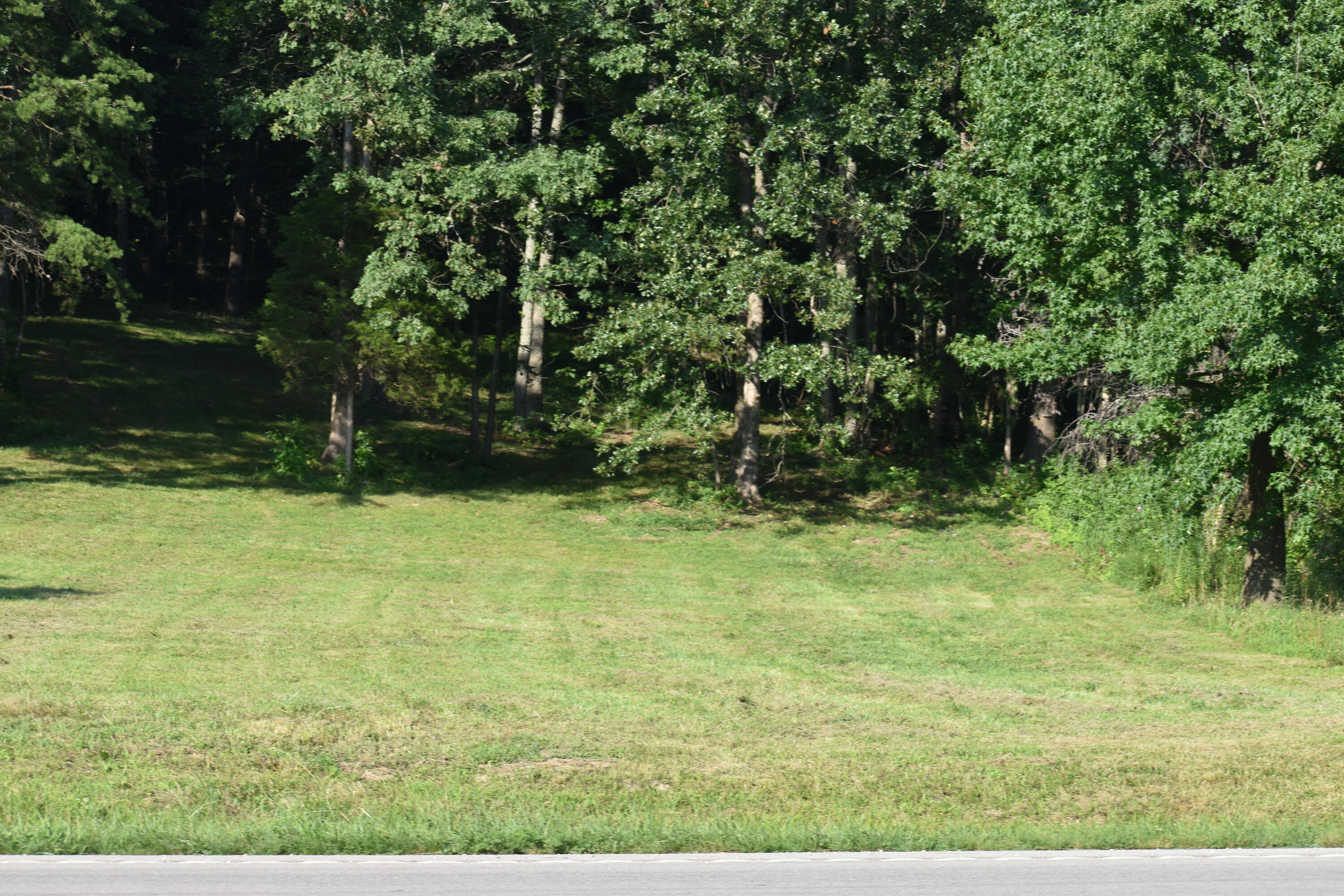 1040 Kentucky 801 Property Photo 3