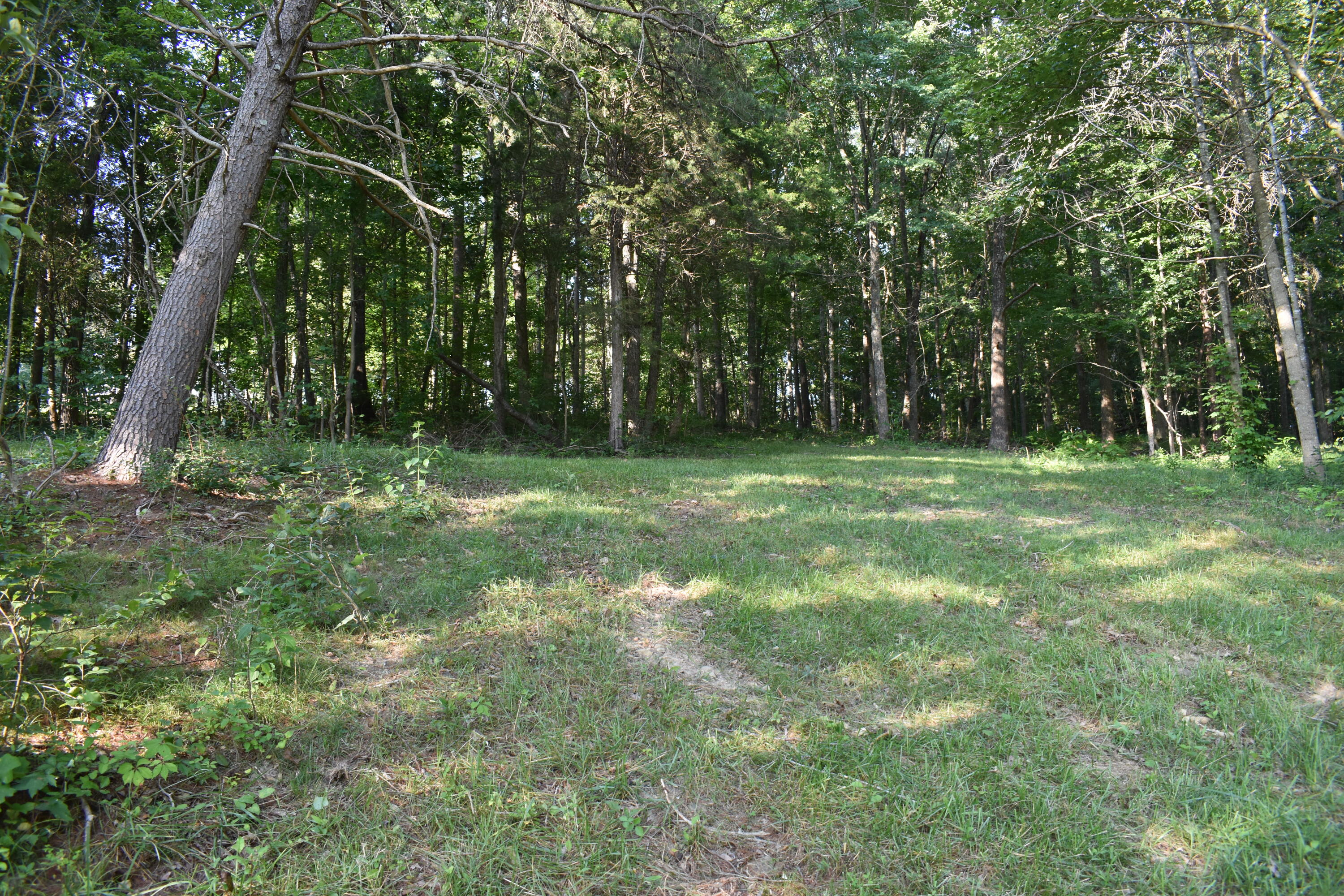 1040 Kentucky 801 Property Photo 12