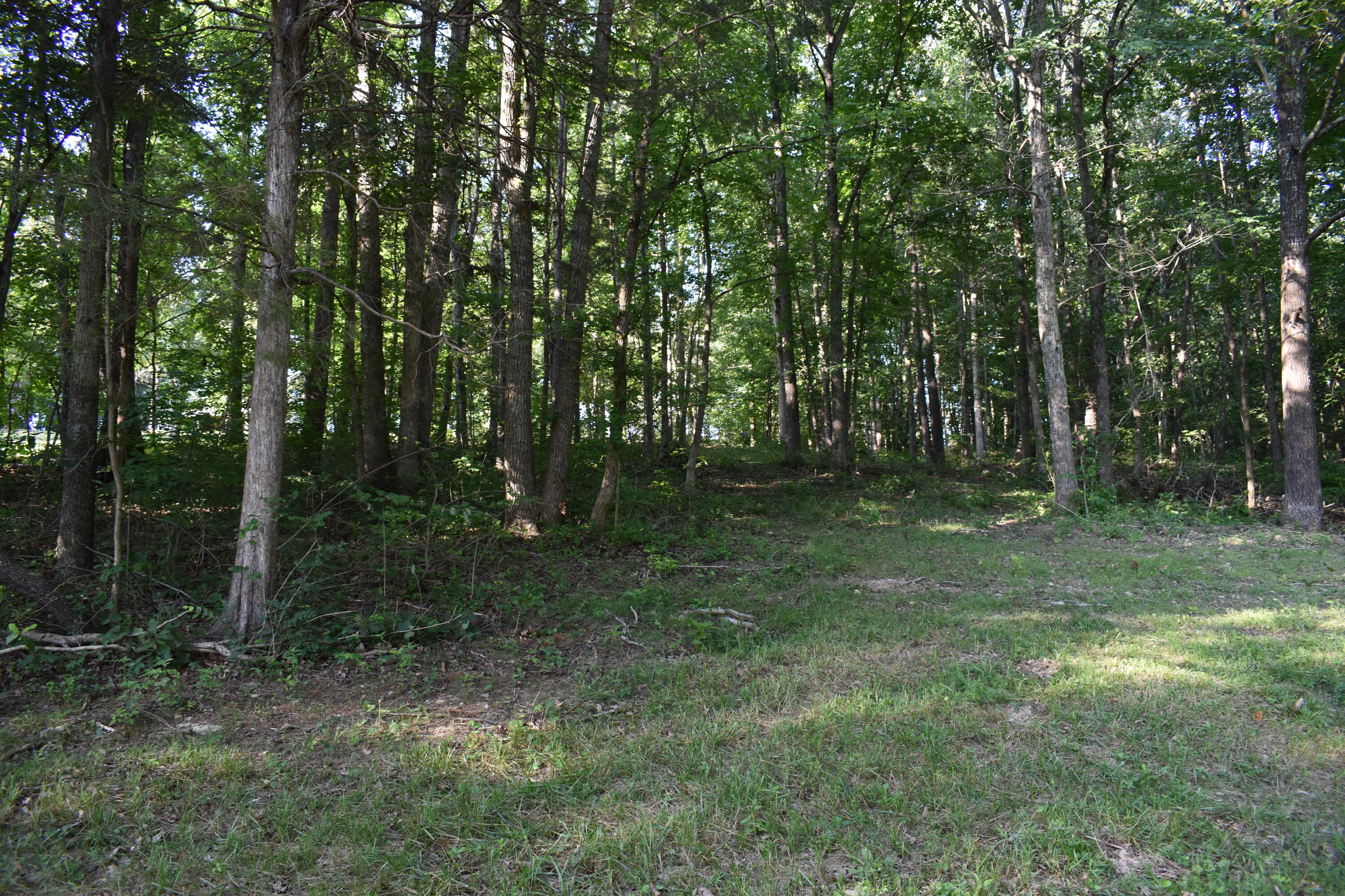 1040 Kentucky 801 Property Photo 14