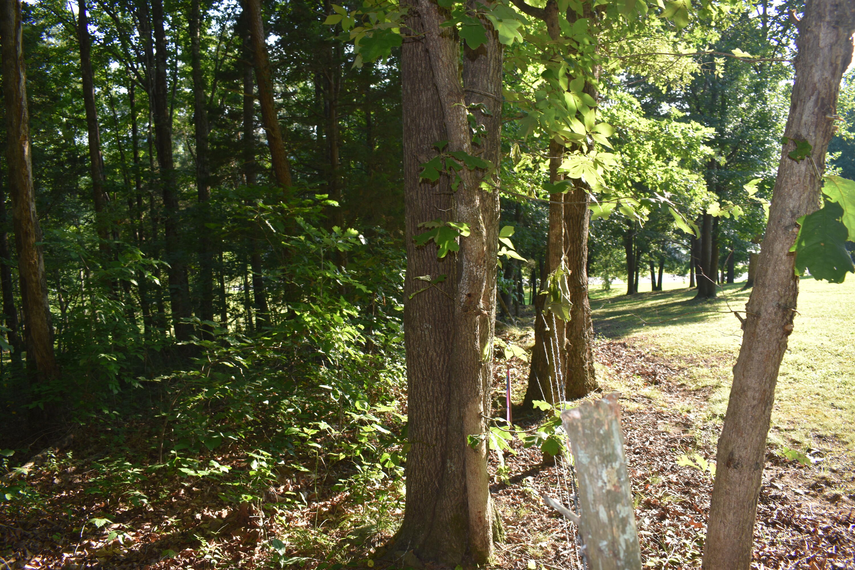 1040 Kentucky 801 Property Photo 16