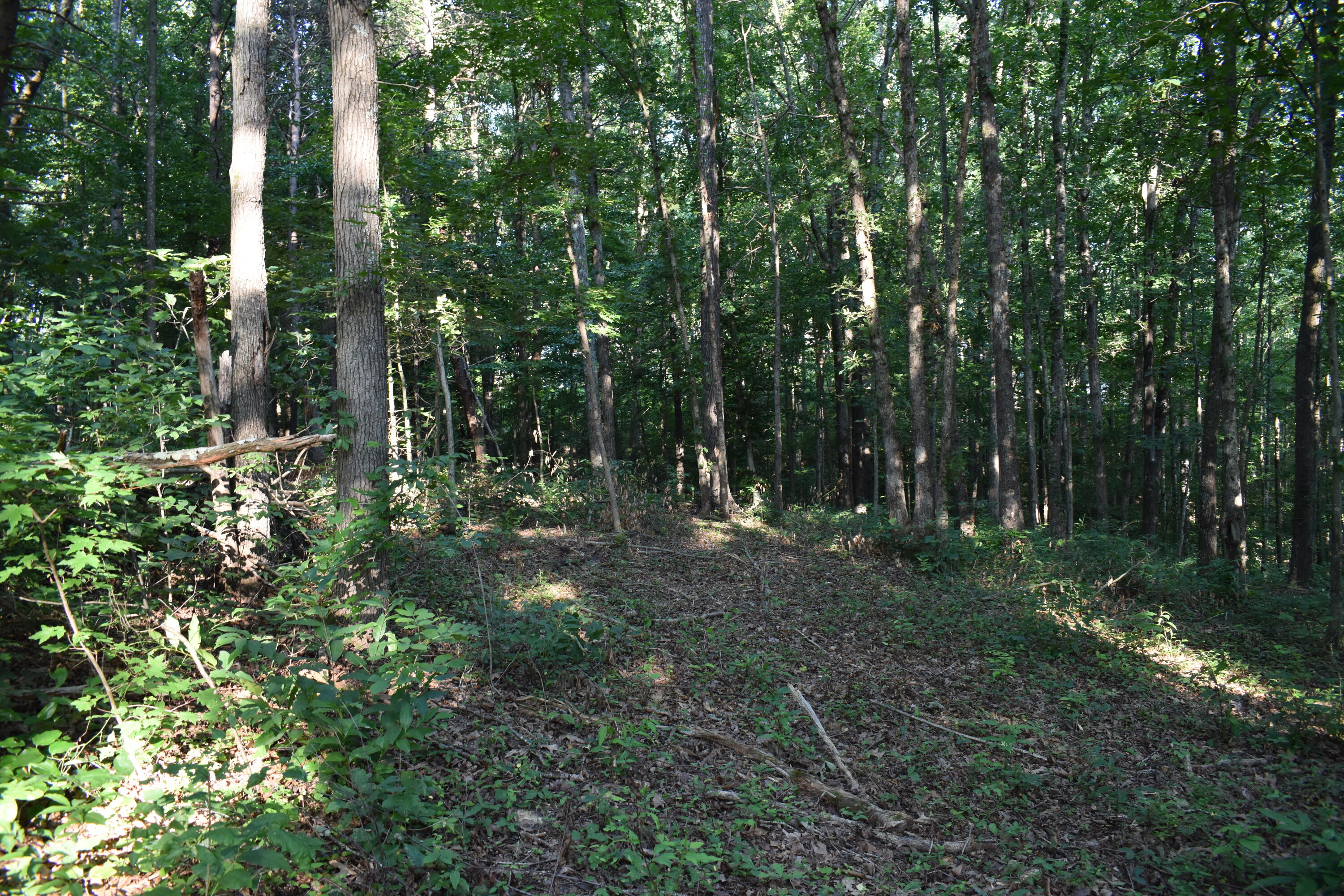 1040 Kentucky 801 Property Photo 17