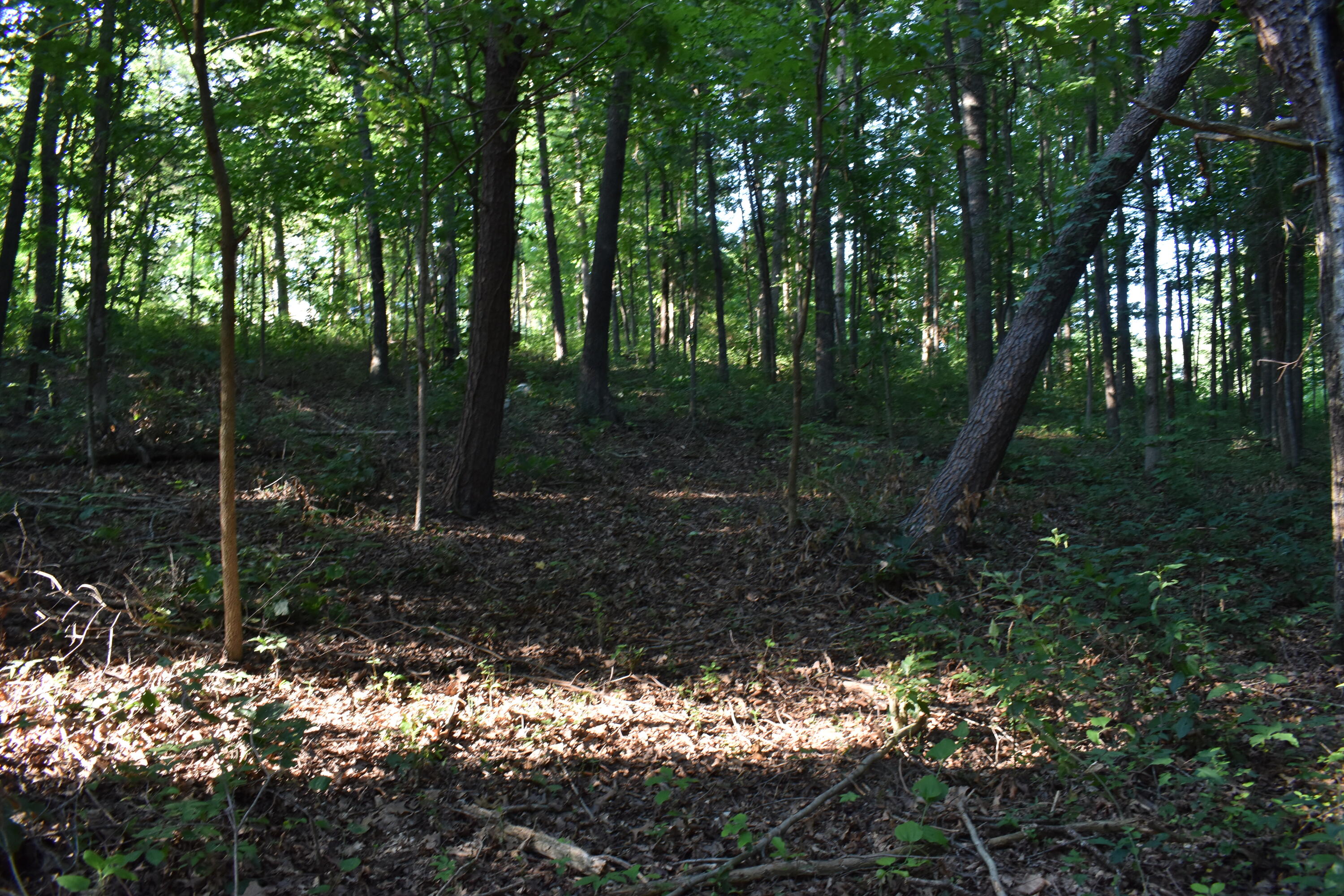 1040 Kentucky 801 Property Photo 18