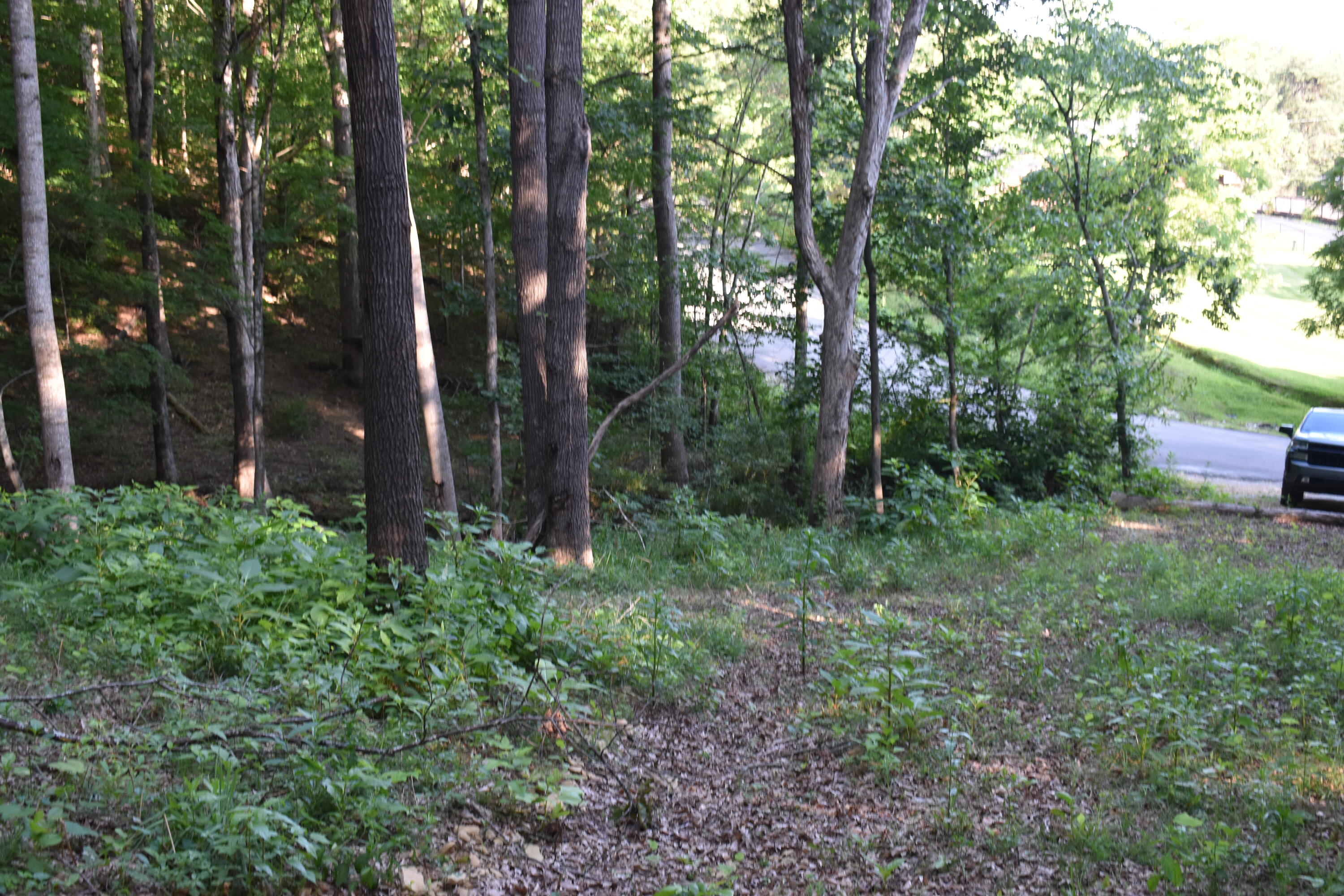 1040 Kentucky 801 Property Photo 19