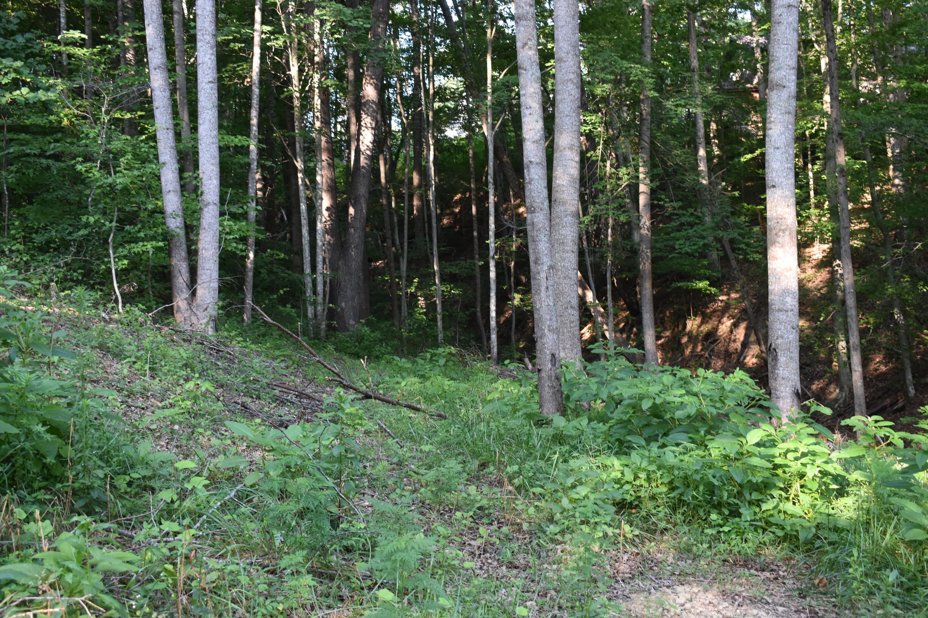 1040 Kentucky 801 Property Photo 20