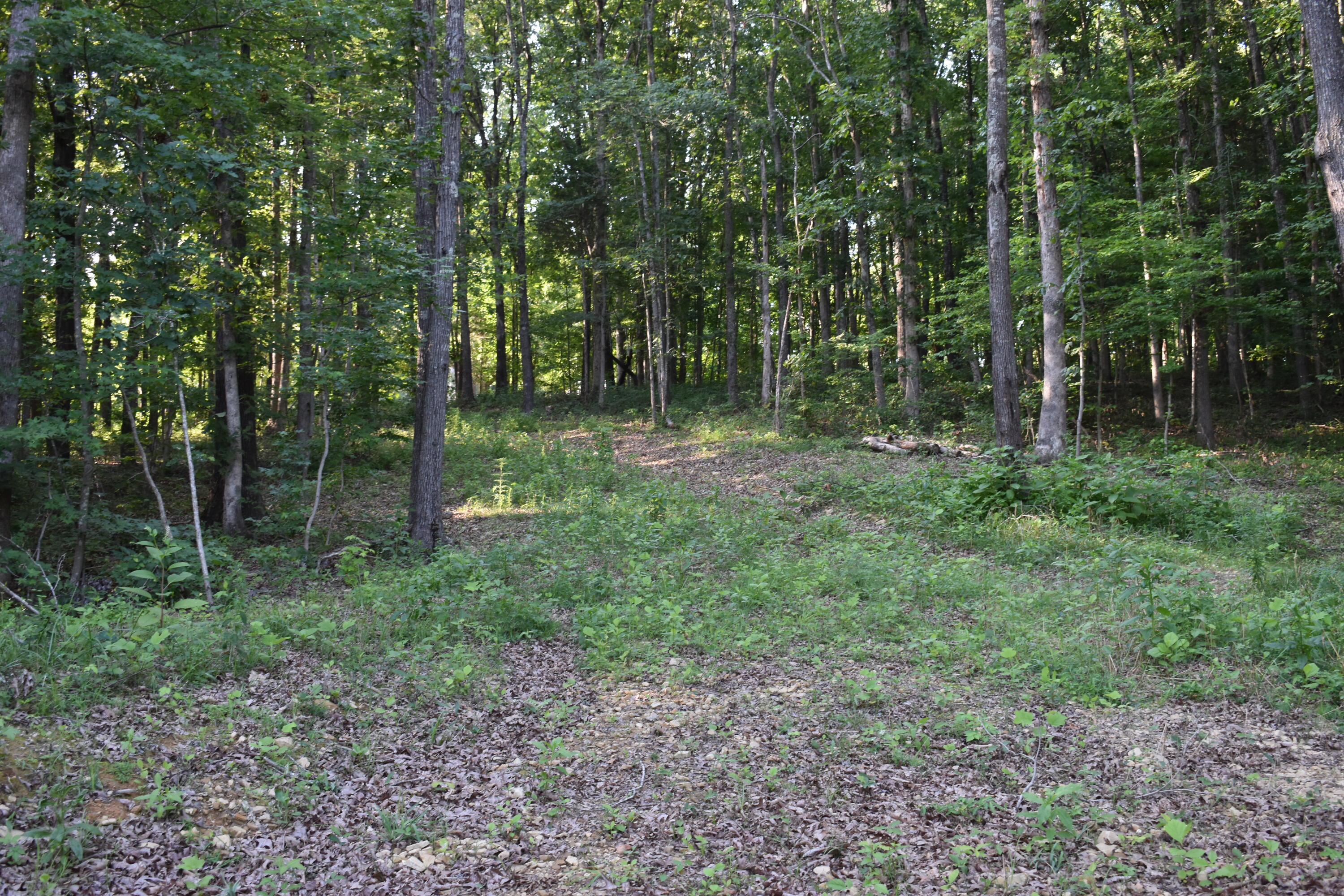 1040 Kentucky 801 Property Photo 22